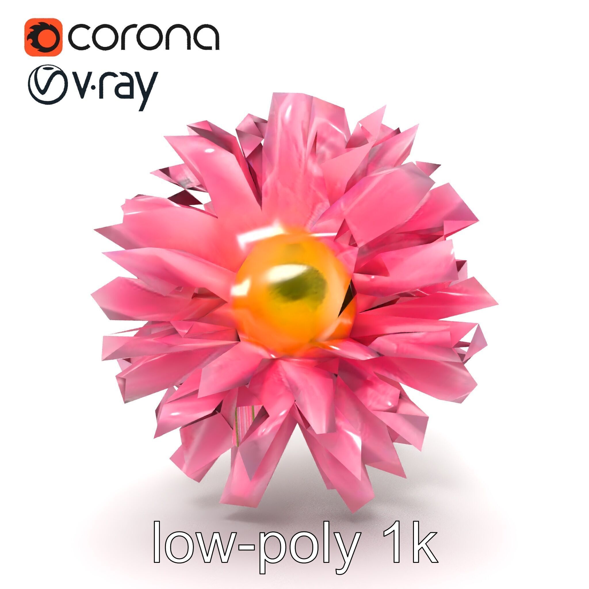 Leucanthemum Pink Blossom Render model pack Low-poly 3D model_32