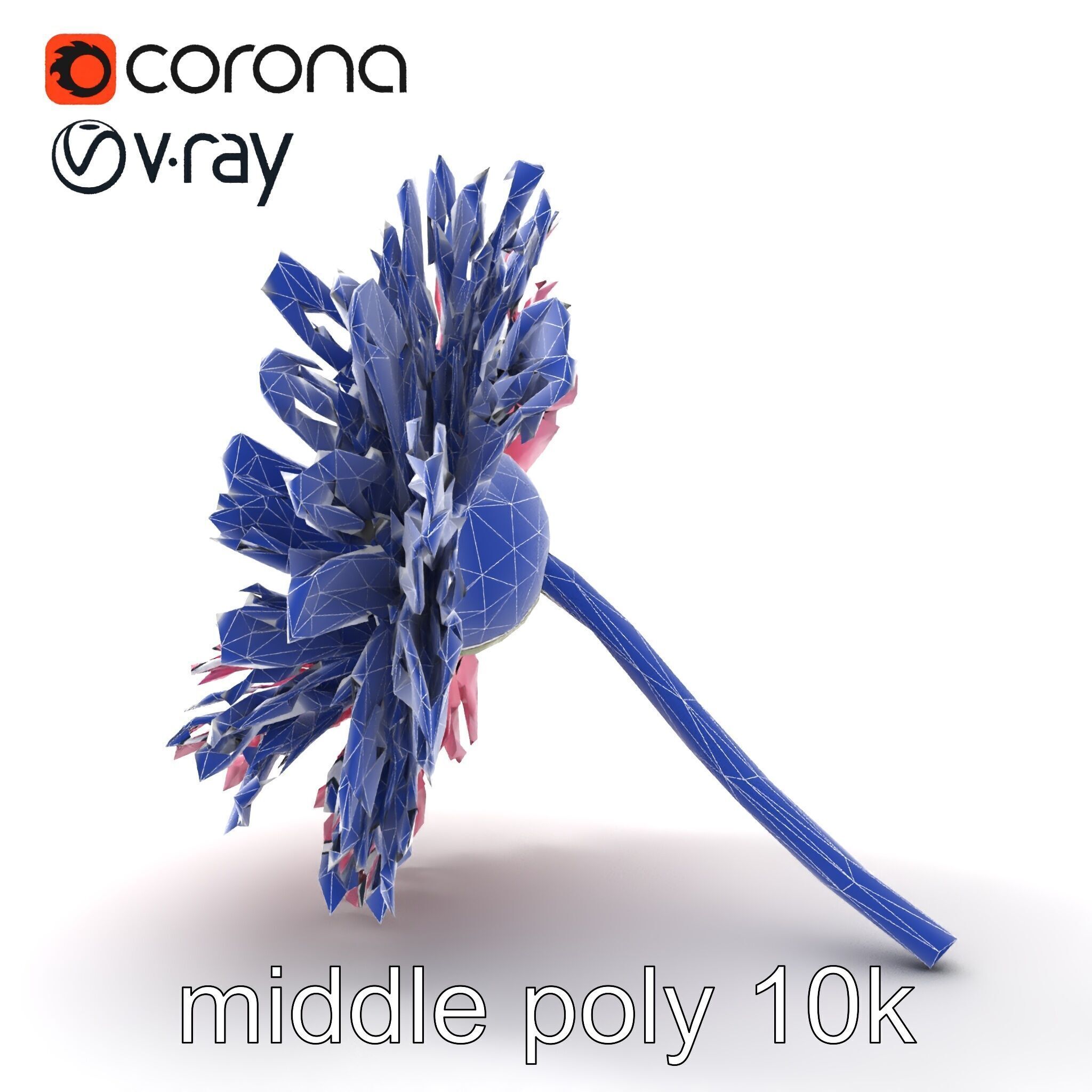 Leucanthemum Pink Blossom Render model pack Low-poly 3D model_19