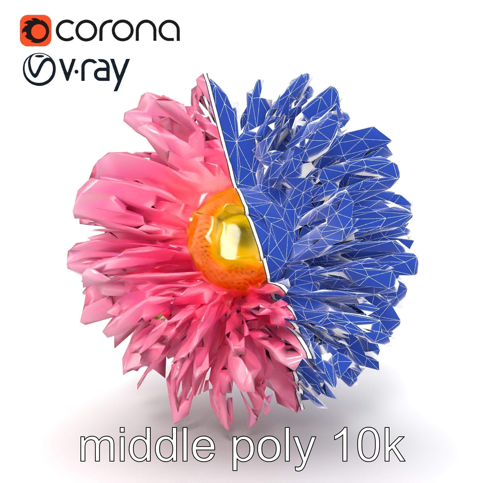 Leucanthemum Pink Blossom Render model pack Low-poly 3D model_27