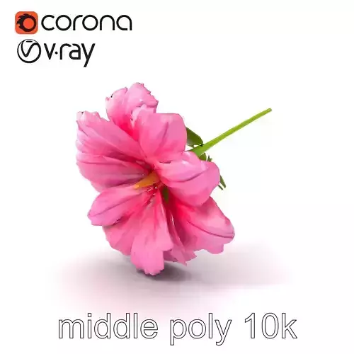 Dianthus Pink Flower Petals model pack