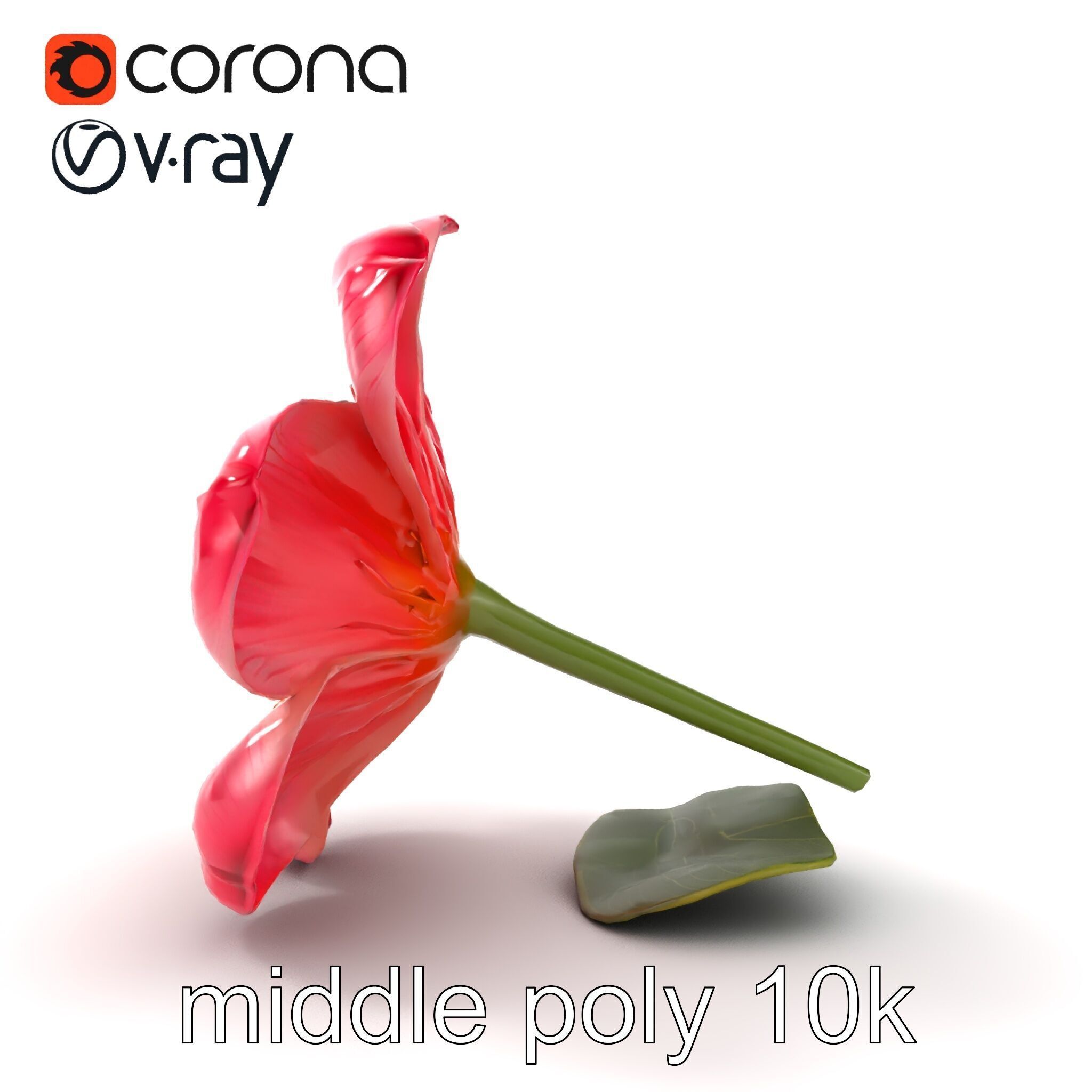 Delicate Pink Blossom Flower model pack Low-poly 3D model_16