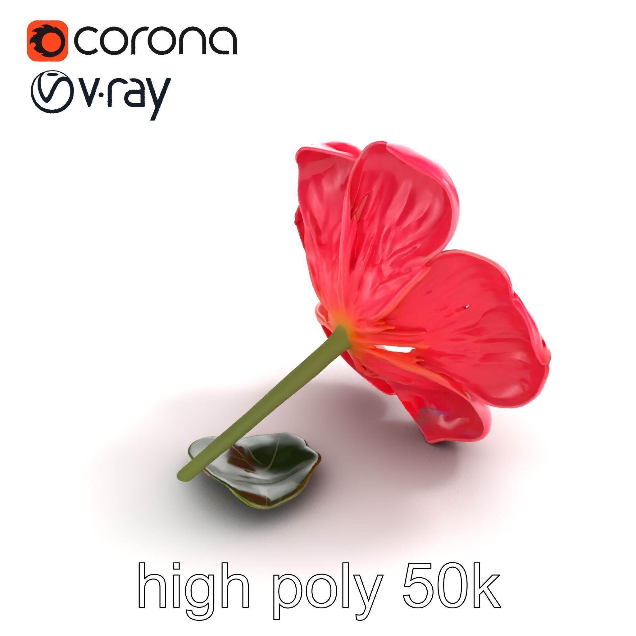 Delicate Pink Blossom Flower model pack Low-poly 3D model_14