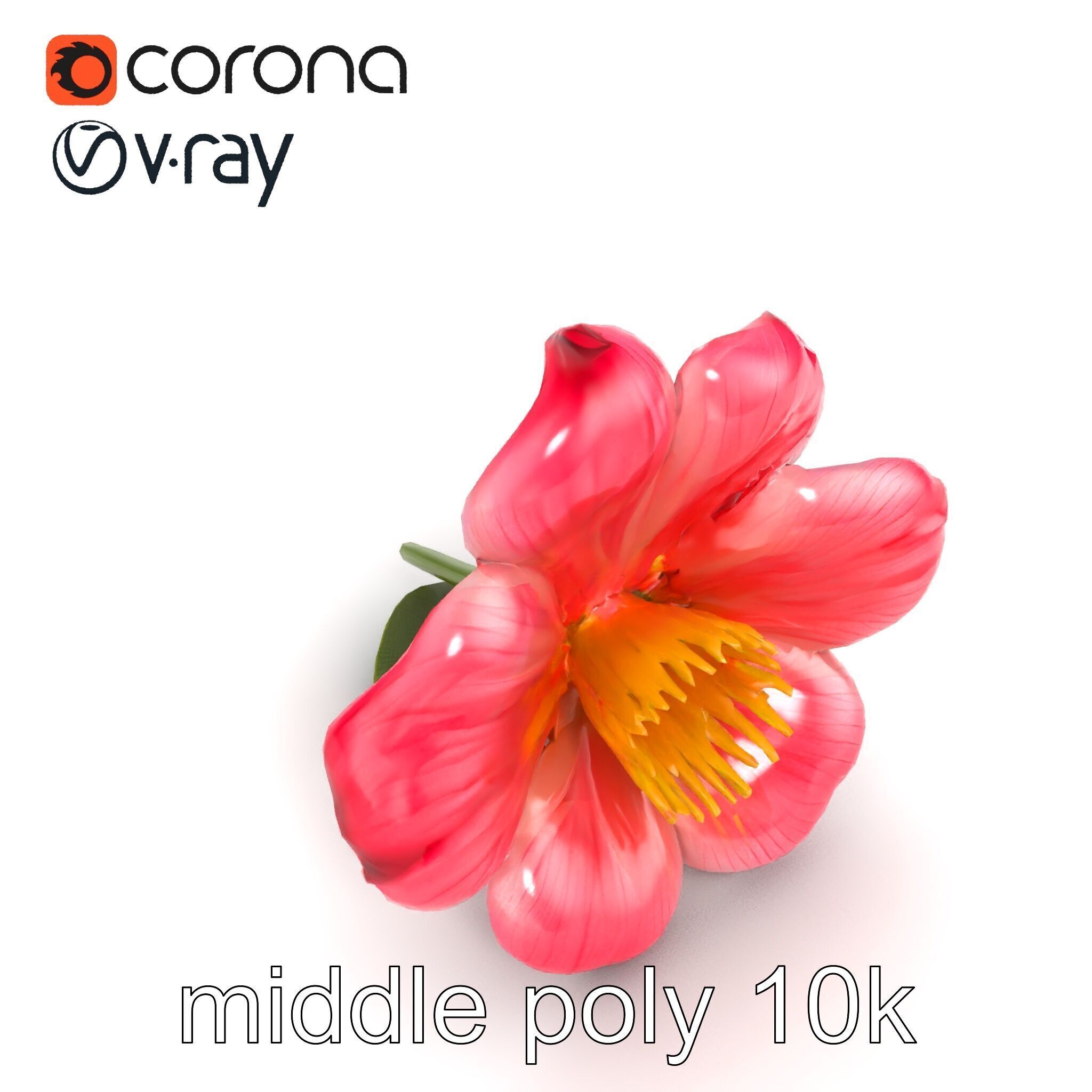 Delicate Pink Blossom Flower model pack Low-poly 3D model_19