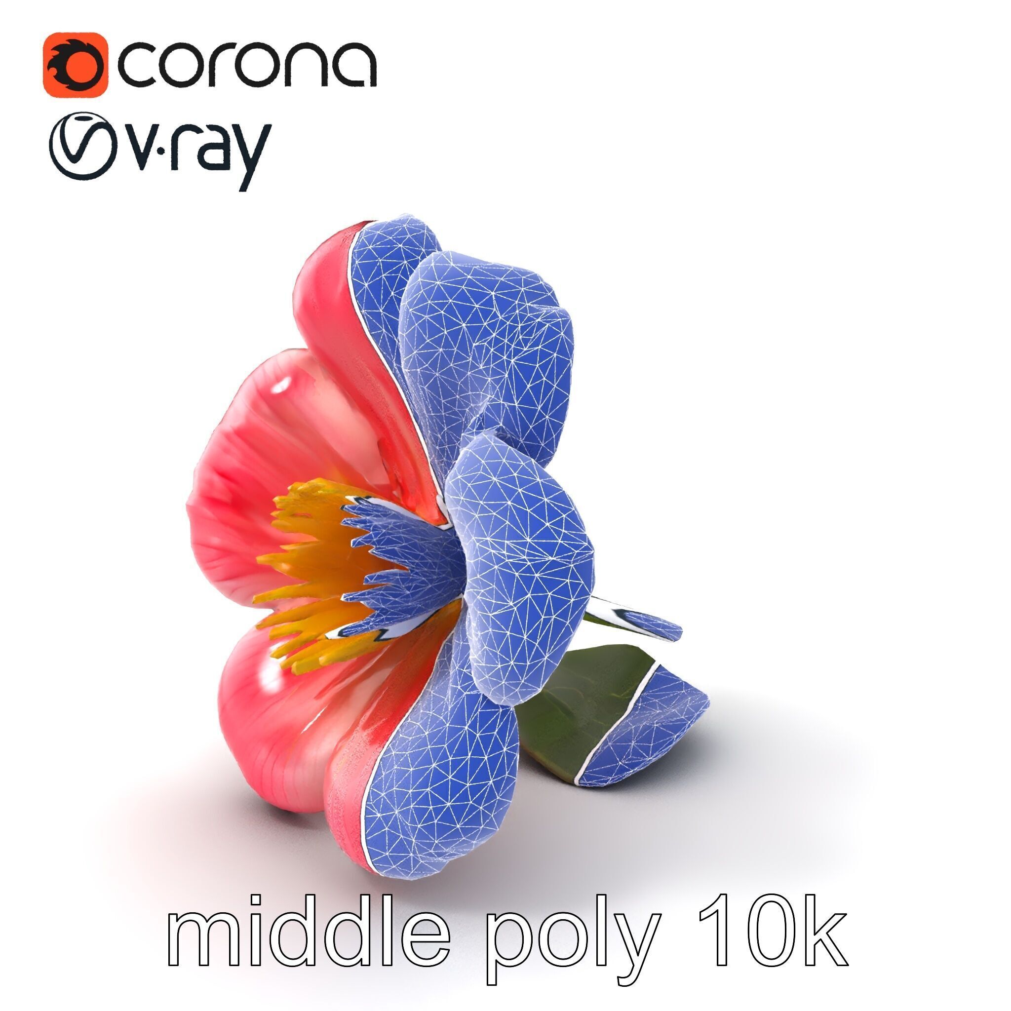 Delicate Pink Blossom Flower model pack Low-poly 3D model_6