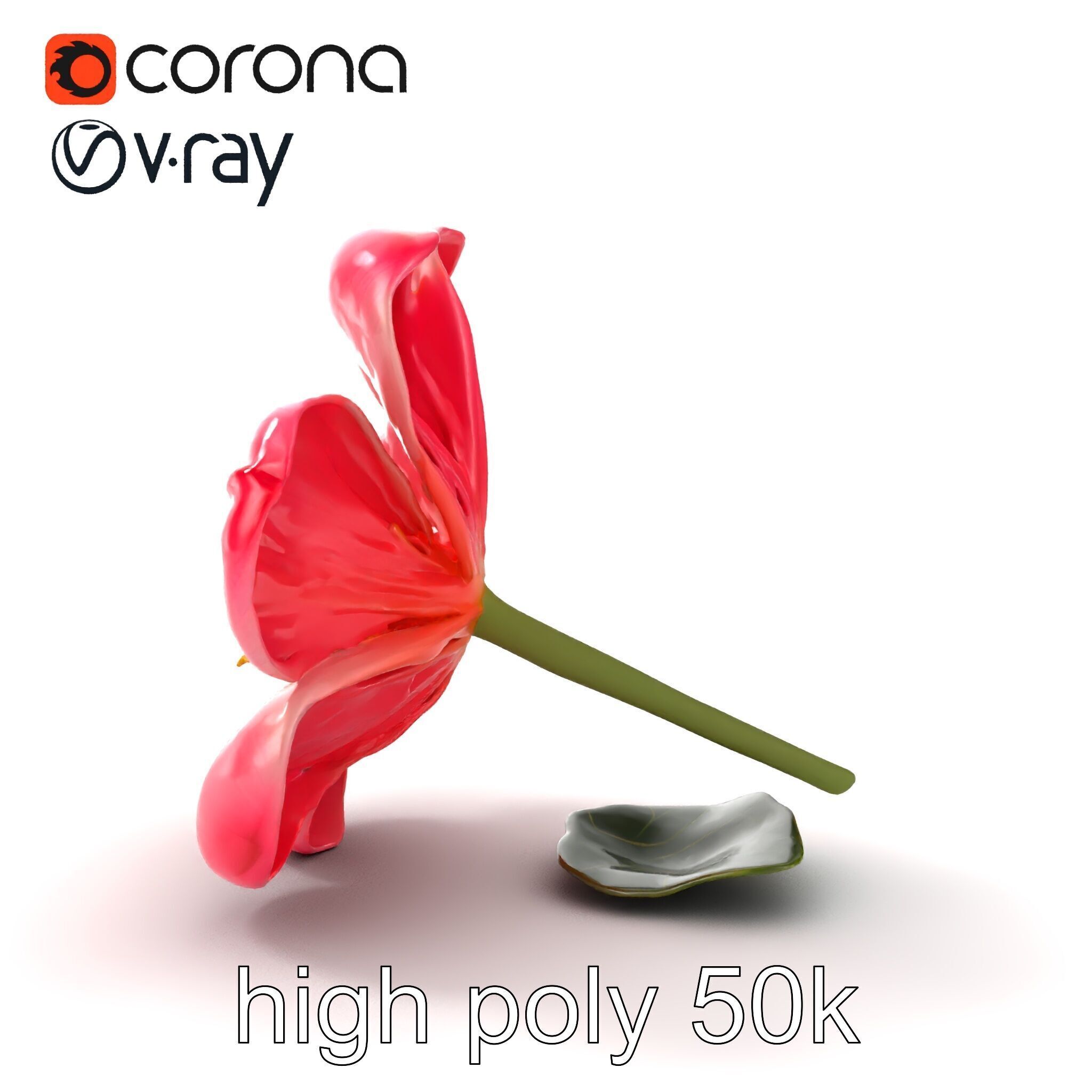 Delicate Pink Blossom Flower model pack Low-poly 3D model_26