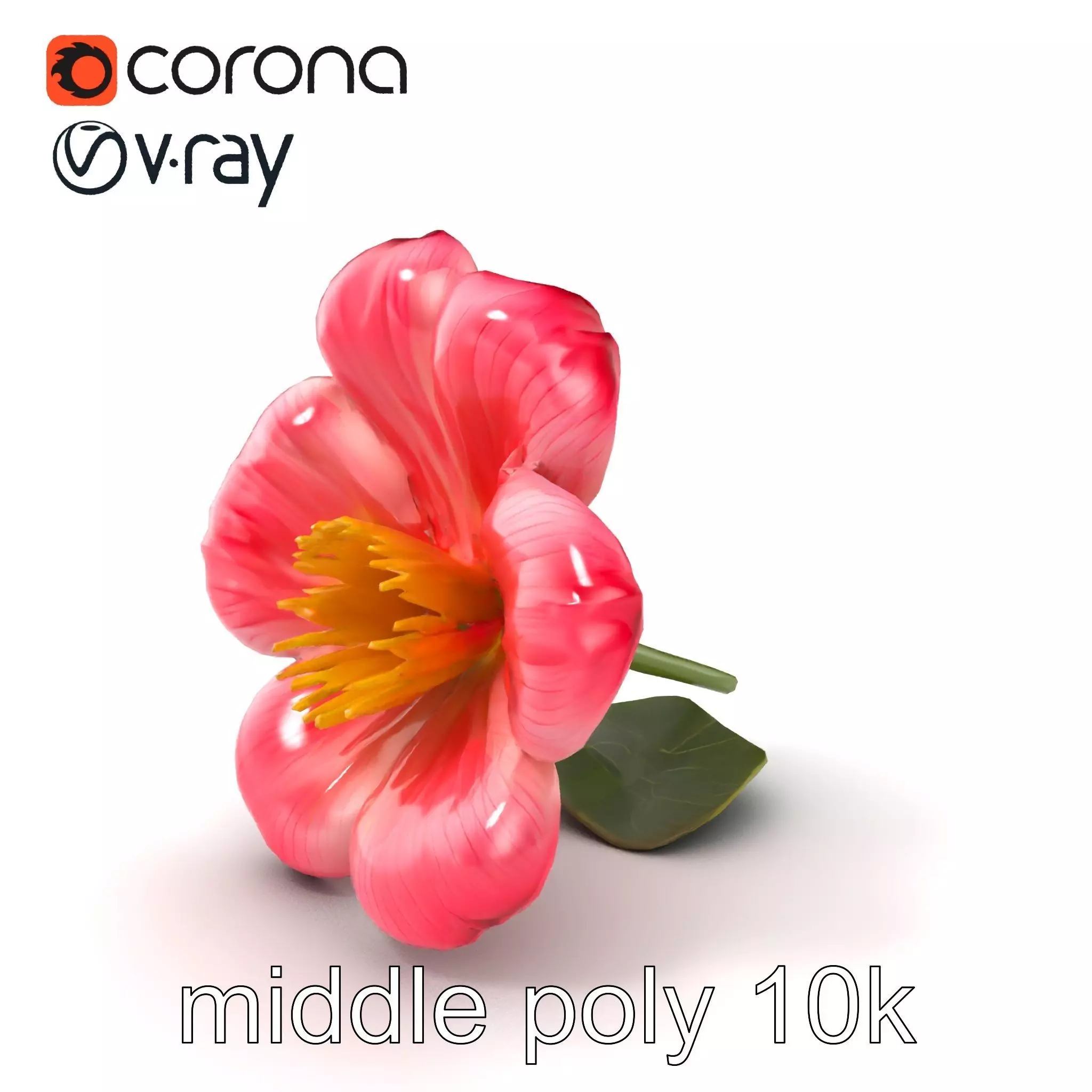 Delicate Pink Blossom Flower model pack Low-poly 3D model_0
