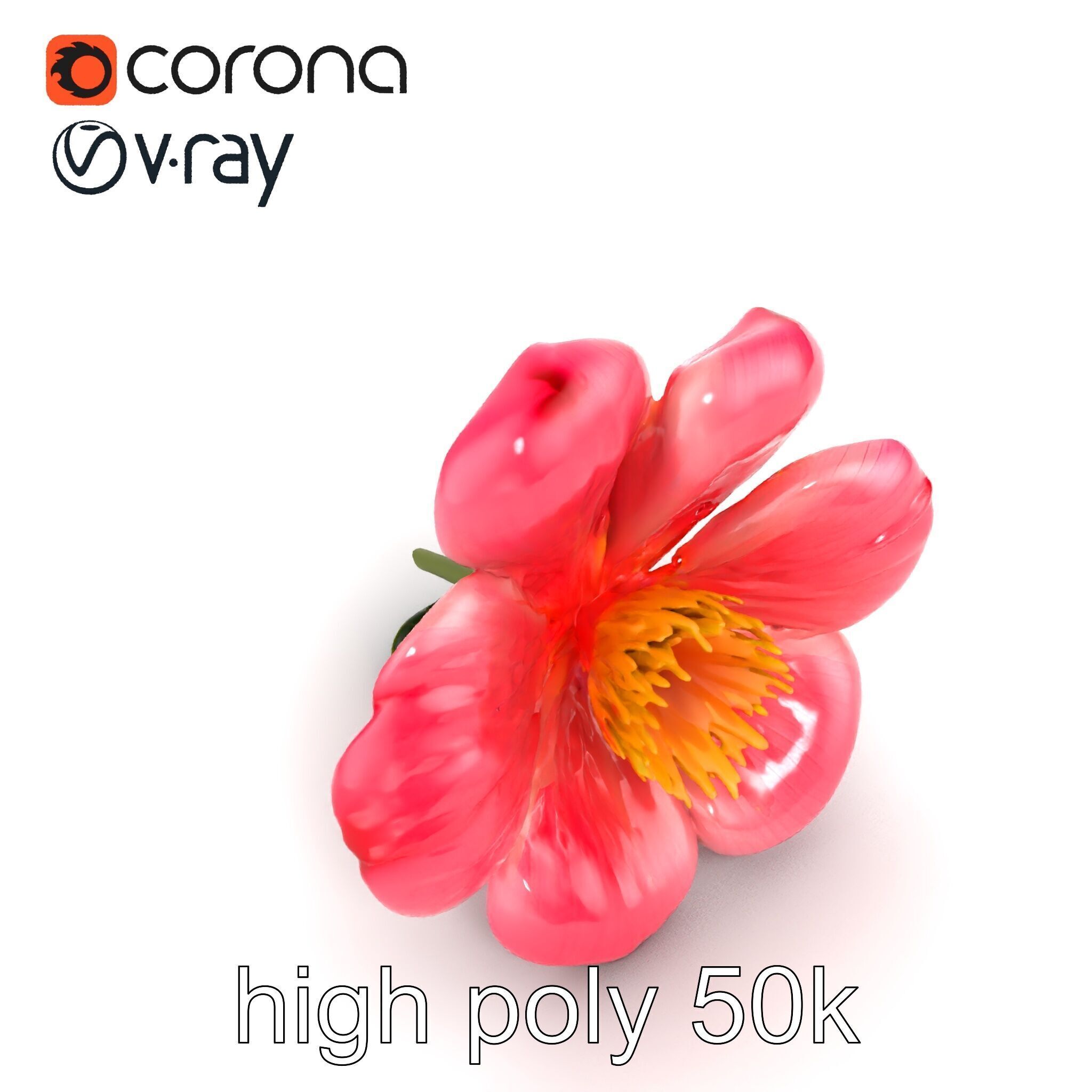 Delicate Pink Blossom Flower model pack Low-poly 3D model_13