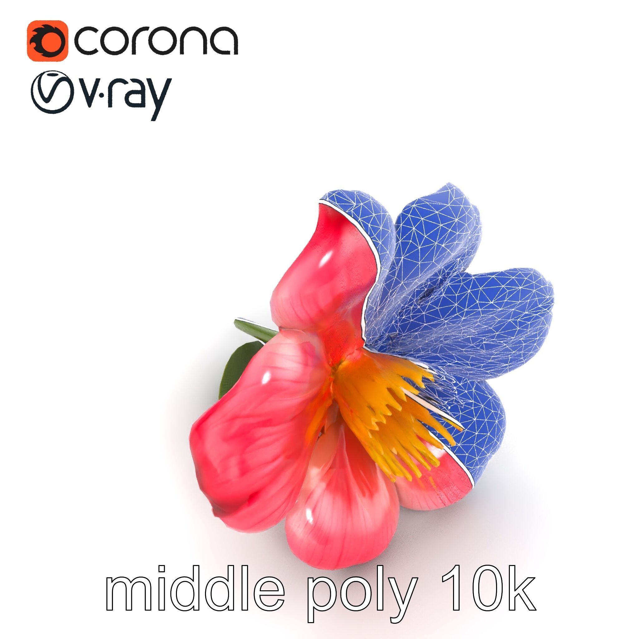 Delicate Pink Blossom Flower model pack Low-poly 3D model_23