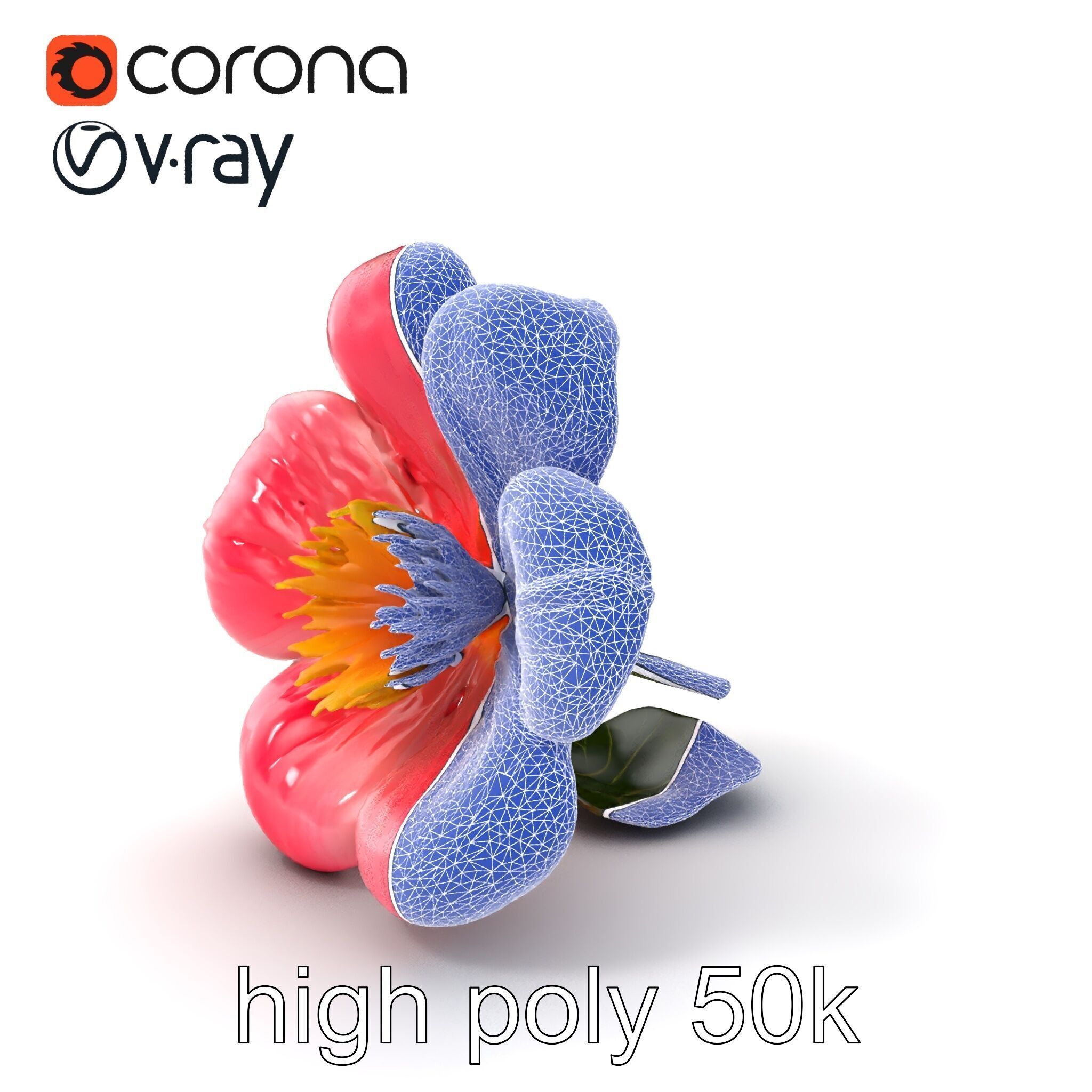 Delicate Pink Blossom Flower model pack Low-poly 3D model_10