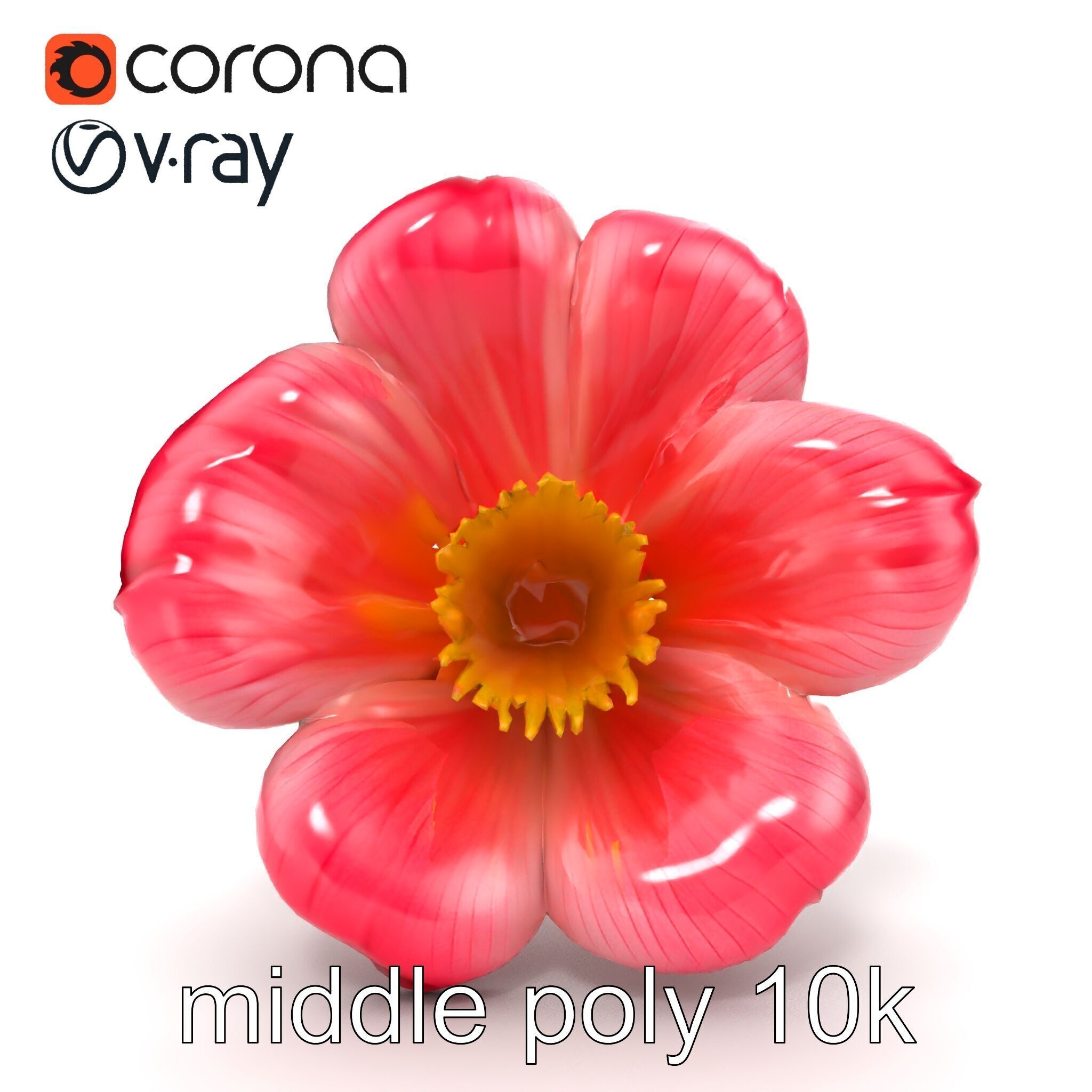 Delicate Pink Blossom Flower model pack Low-poly 3D model_25