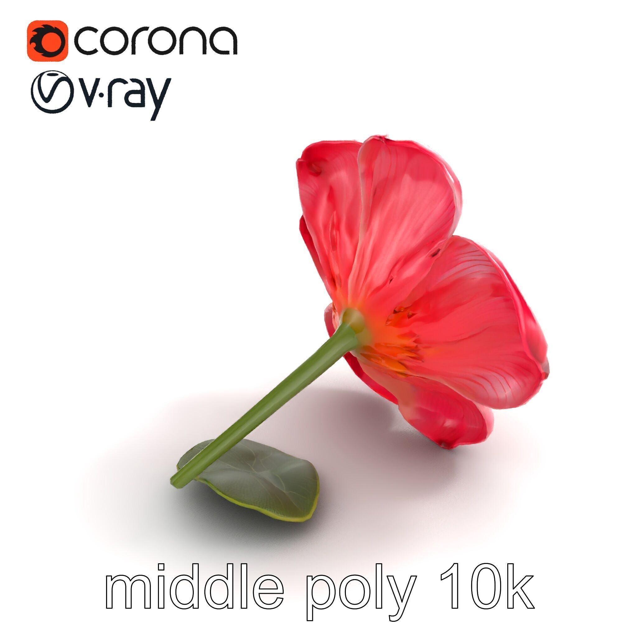 Delicate Pink Blossom Flower model pack Low-poly 3D model_8