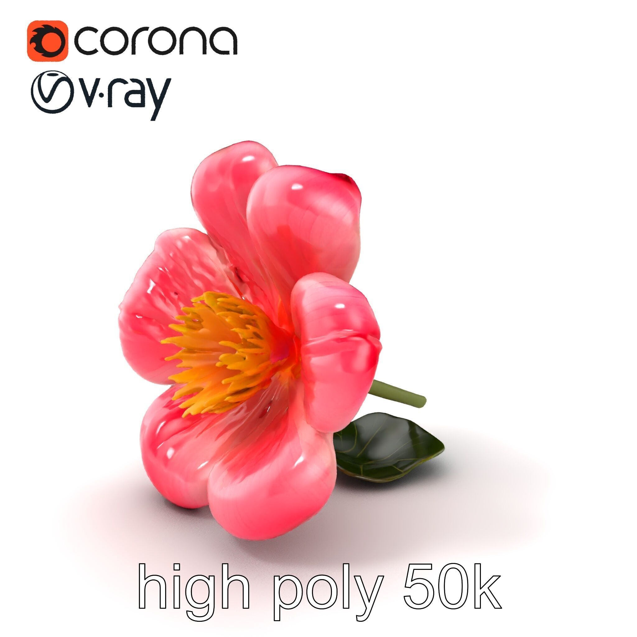 Delicate Pink Blossom Flower model pack Low-poly 3D model_2
