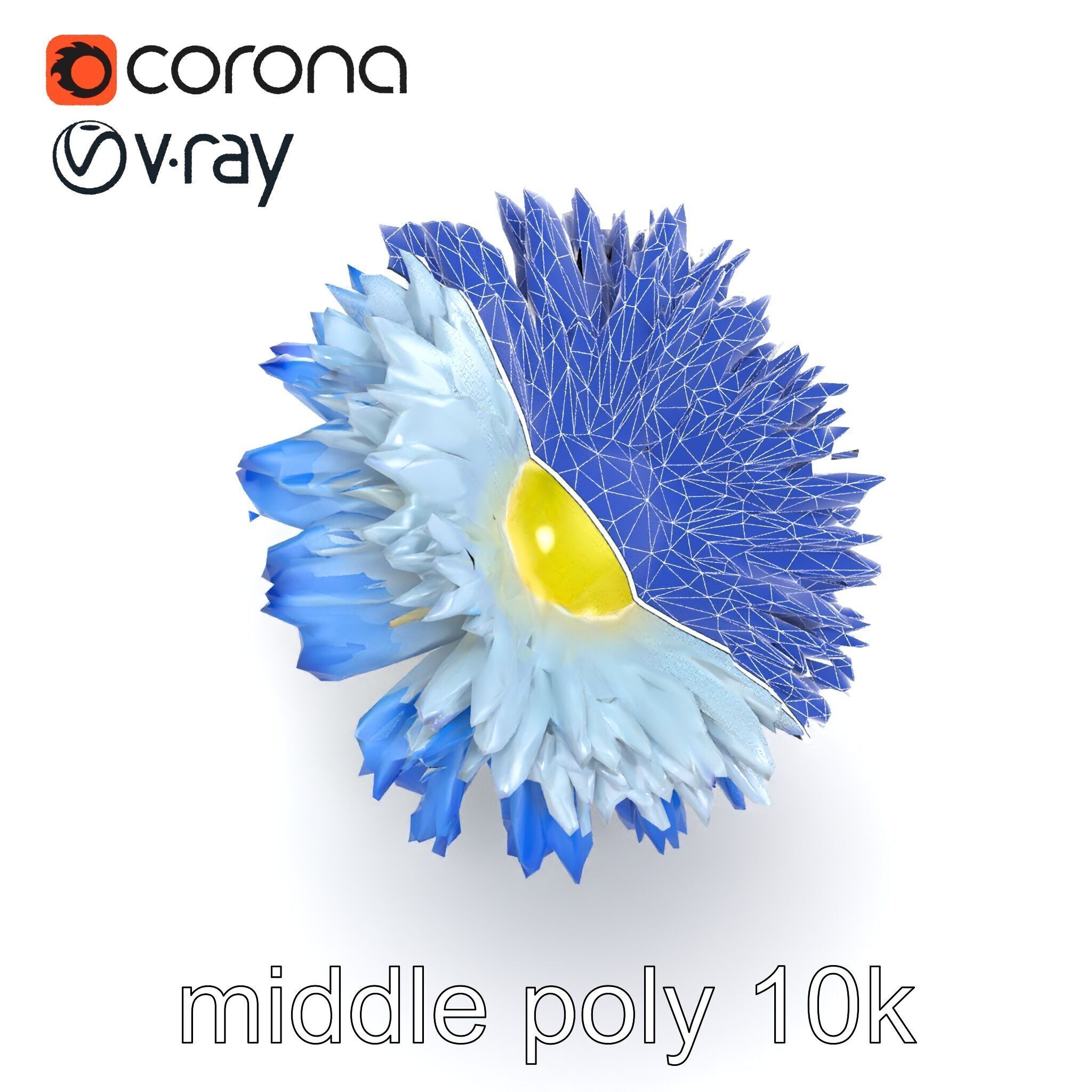 Bicolor Cornflower Realistic Flower model pack Low-poly 3D model_21