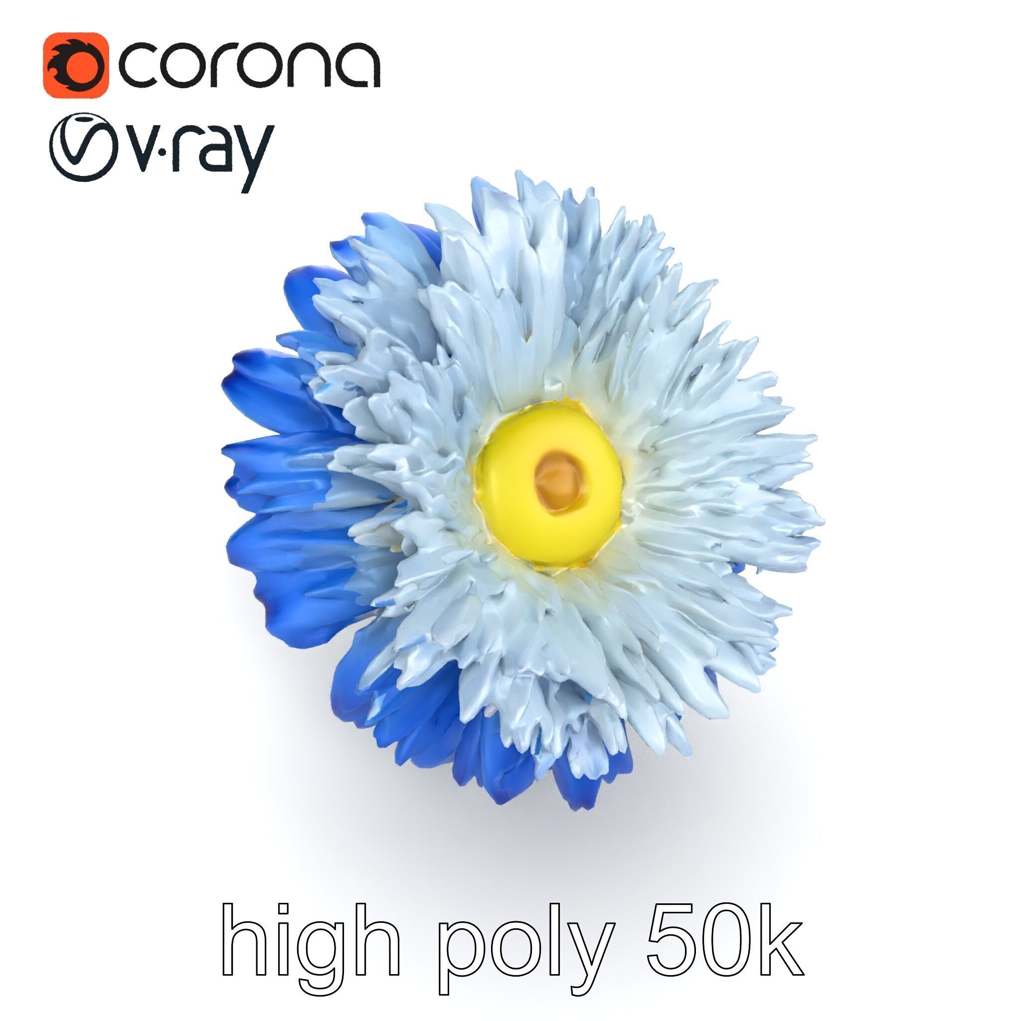Bicolor Cornflower Realistic Flower model pack Low-poly 3D model_27