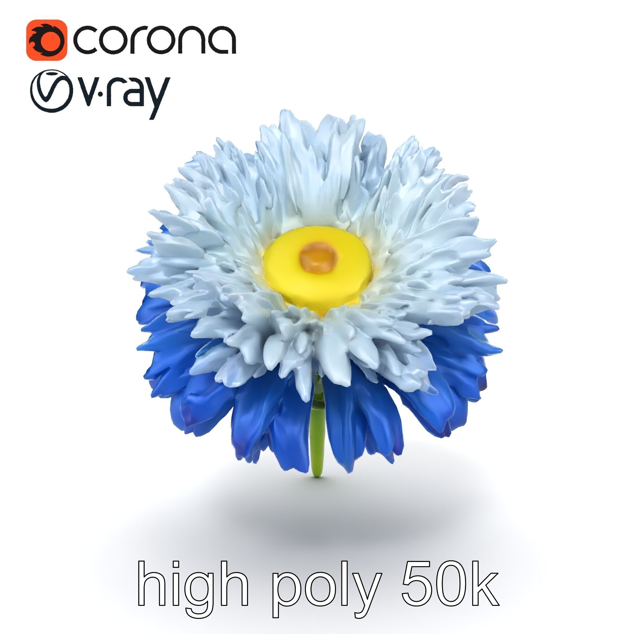 Bicolor Cornflower Realistic Flower model pack Low-poly 3D model_20