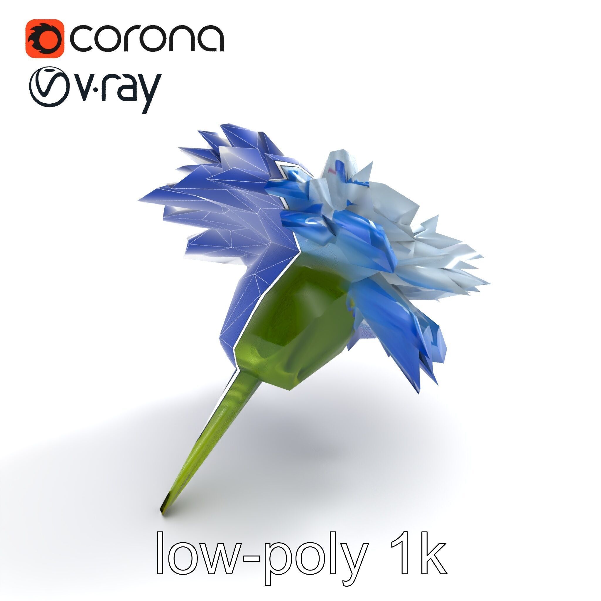 Bicolor Cornflower Realistic Flower model pack Low-poly 3D model_11