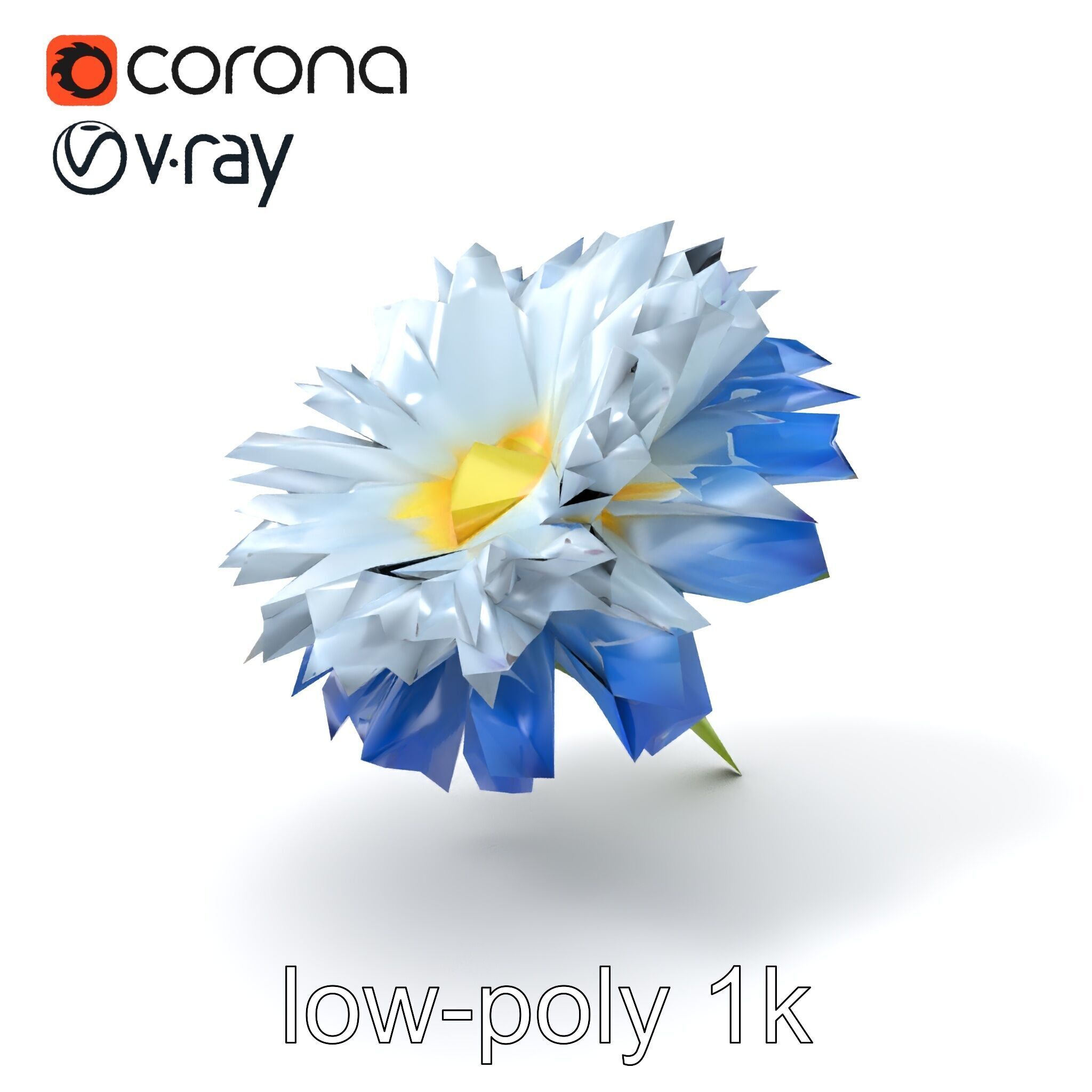 Bicolor Cornflower Realistic Flower model pack Low-poly 3D model_4