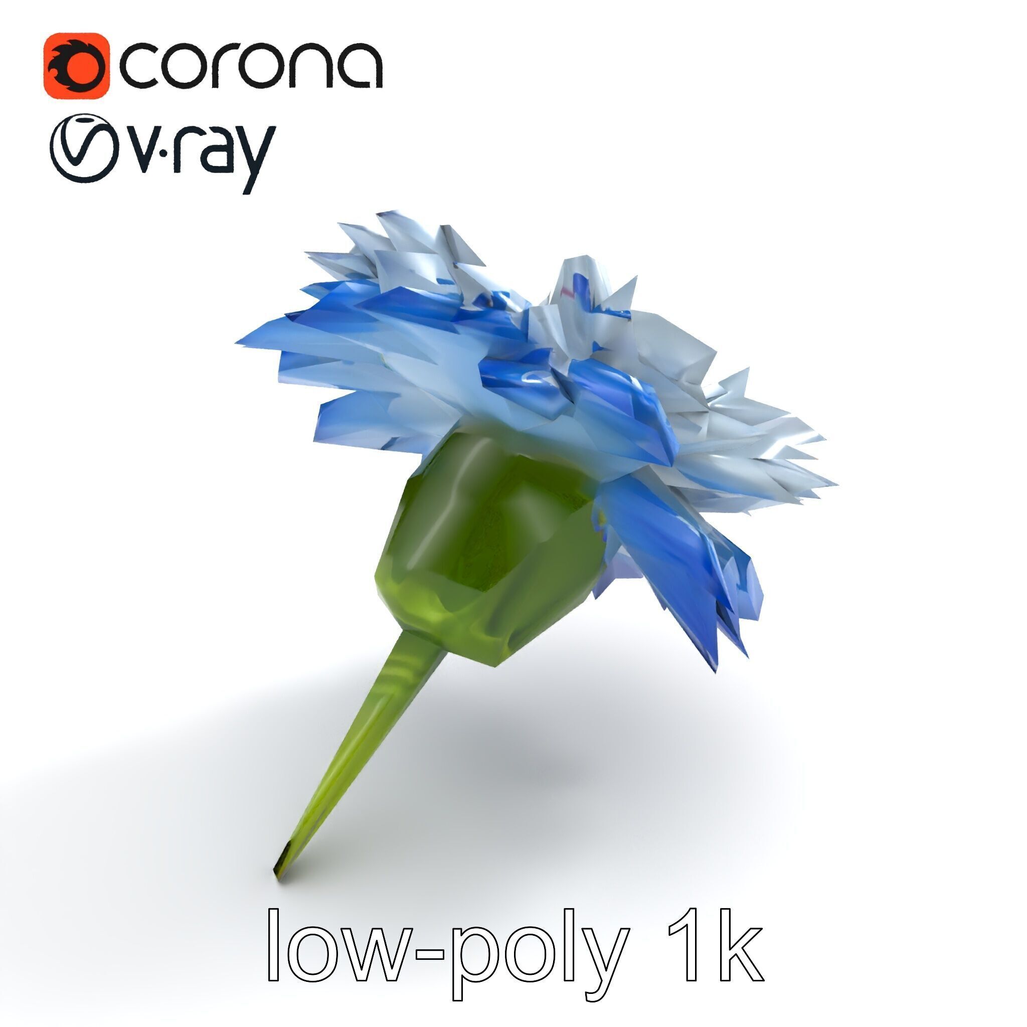 Bicolor Cornflower Realistic Flower model pack Low-poly 3D model_8