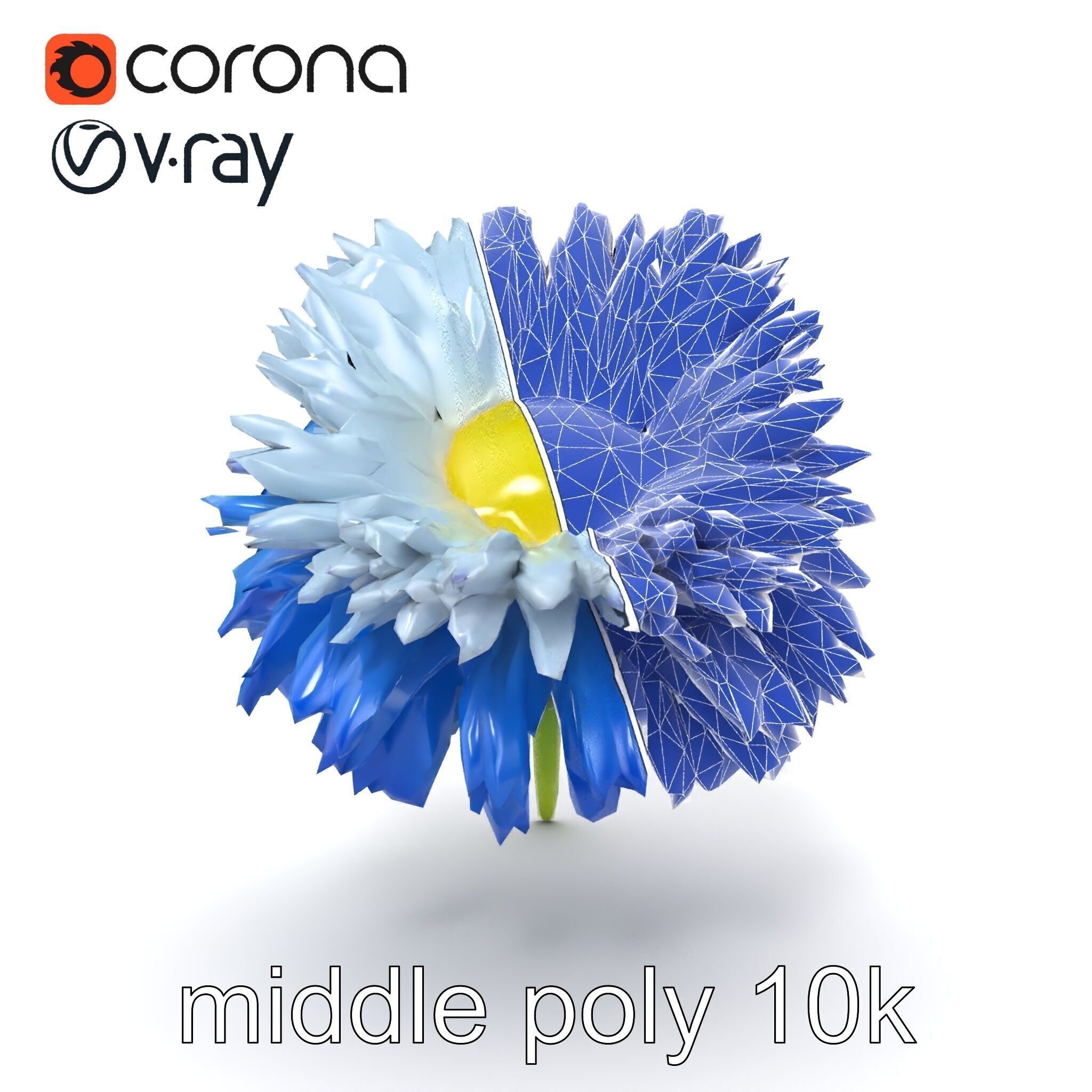 Bicolor Cornflower Realistic Flower model pack Low-poly 3D model_30