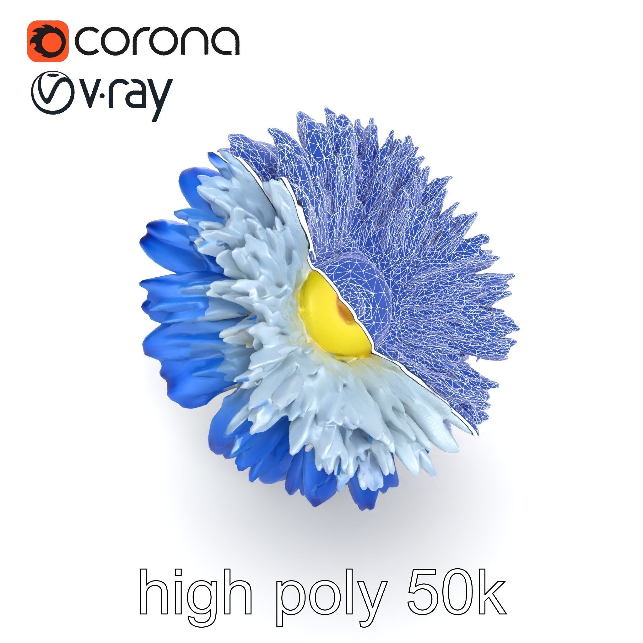 Bicolor Cornflower Realistic Flower model pack Low-poly 3D model_26