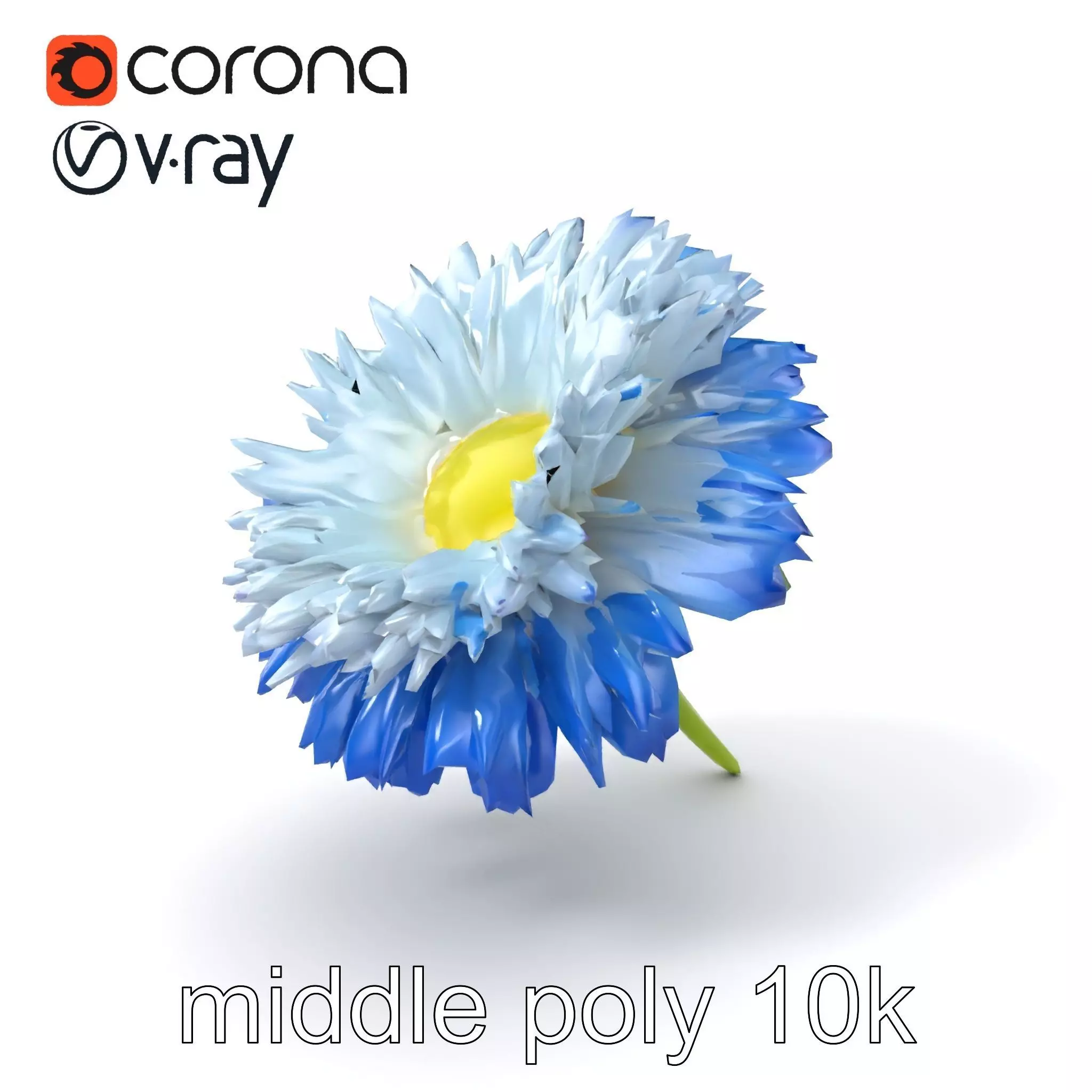 Bicolor Cornflower Realistic Flower model pack Low-poly 3D model_0