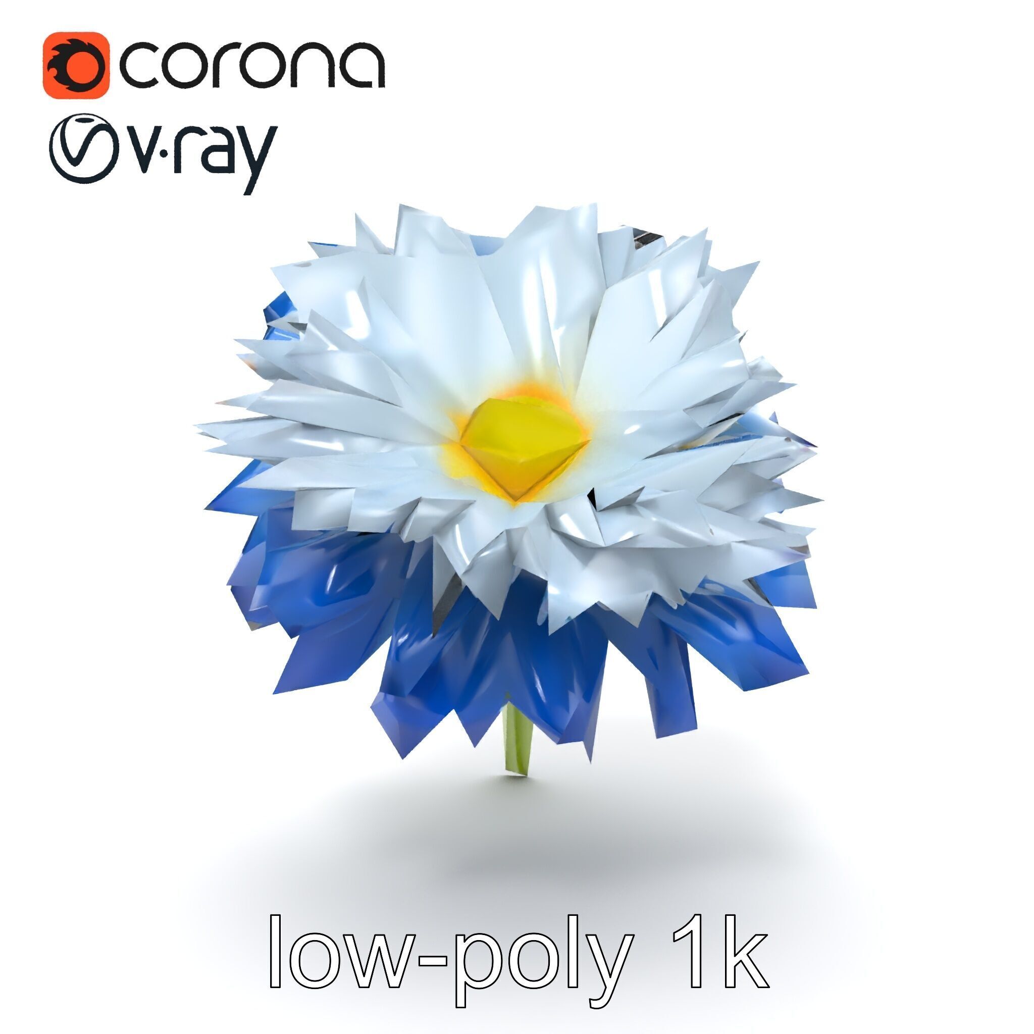 Bicolor Cornflower Realistic Flower model pack Low-poly 3D model_22