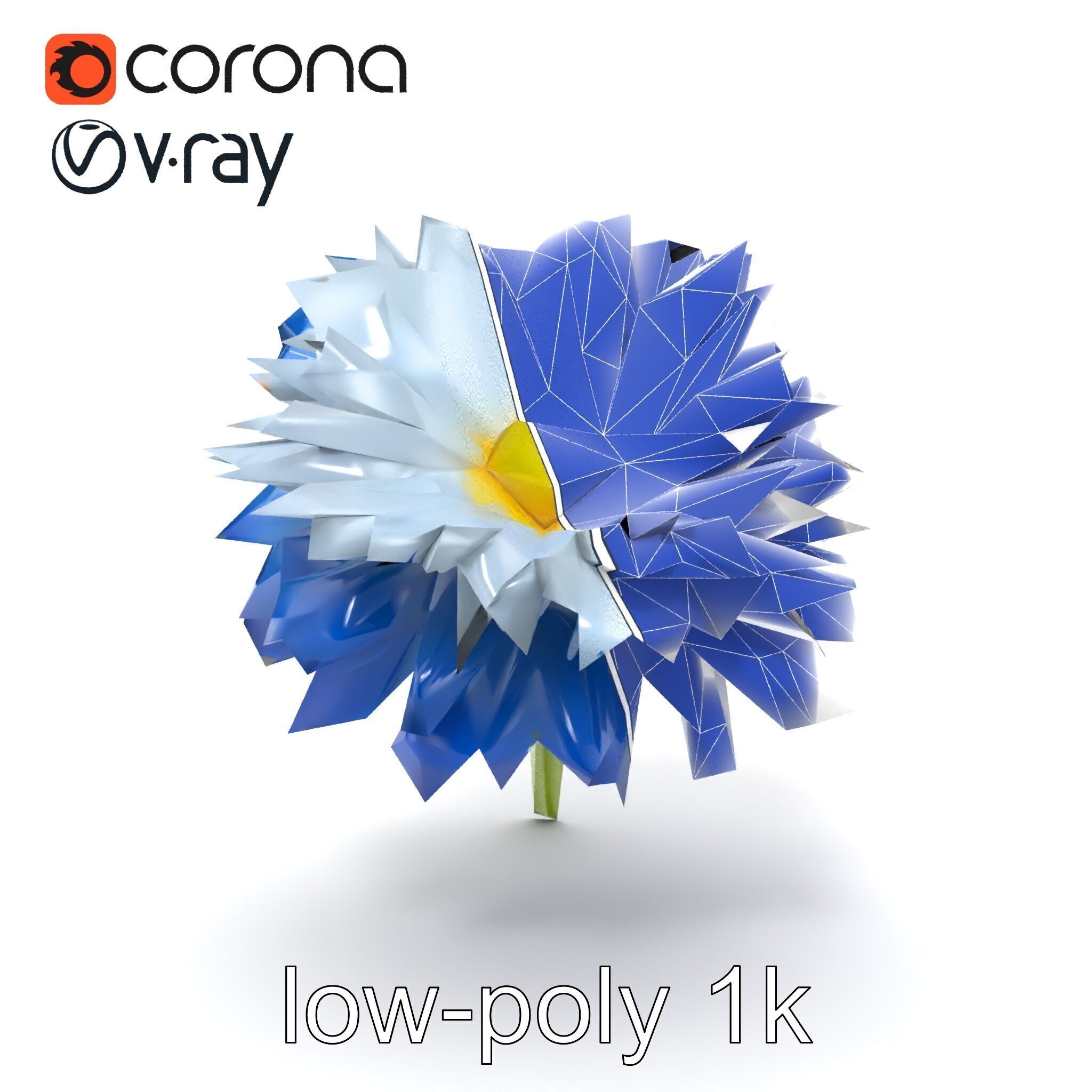 Bicolor Cornflower Realistic Flower model pack Low-poly 3D model_24