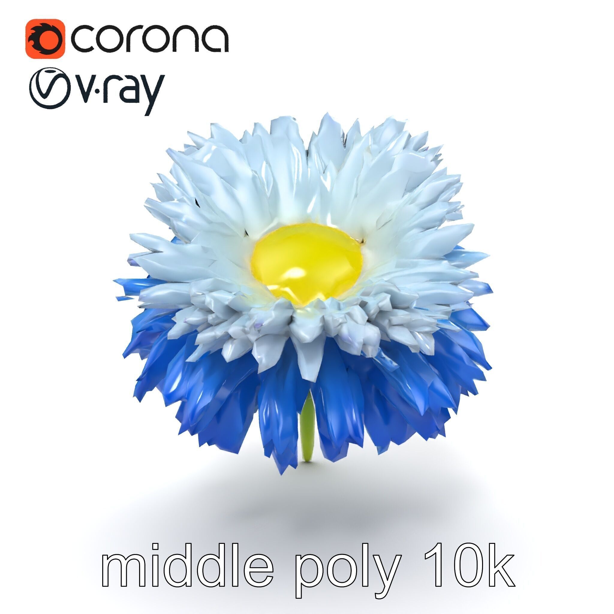 Bicolor Cornflower Realistic Flower model pack Low-poly 3D model_15
