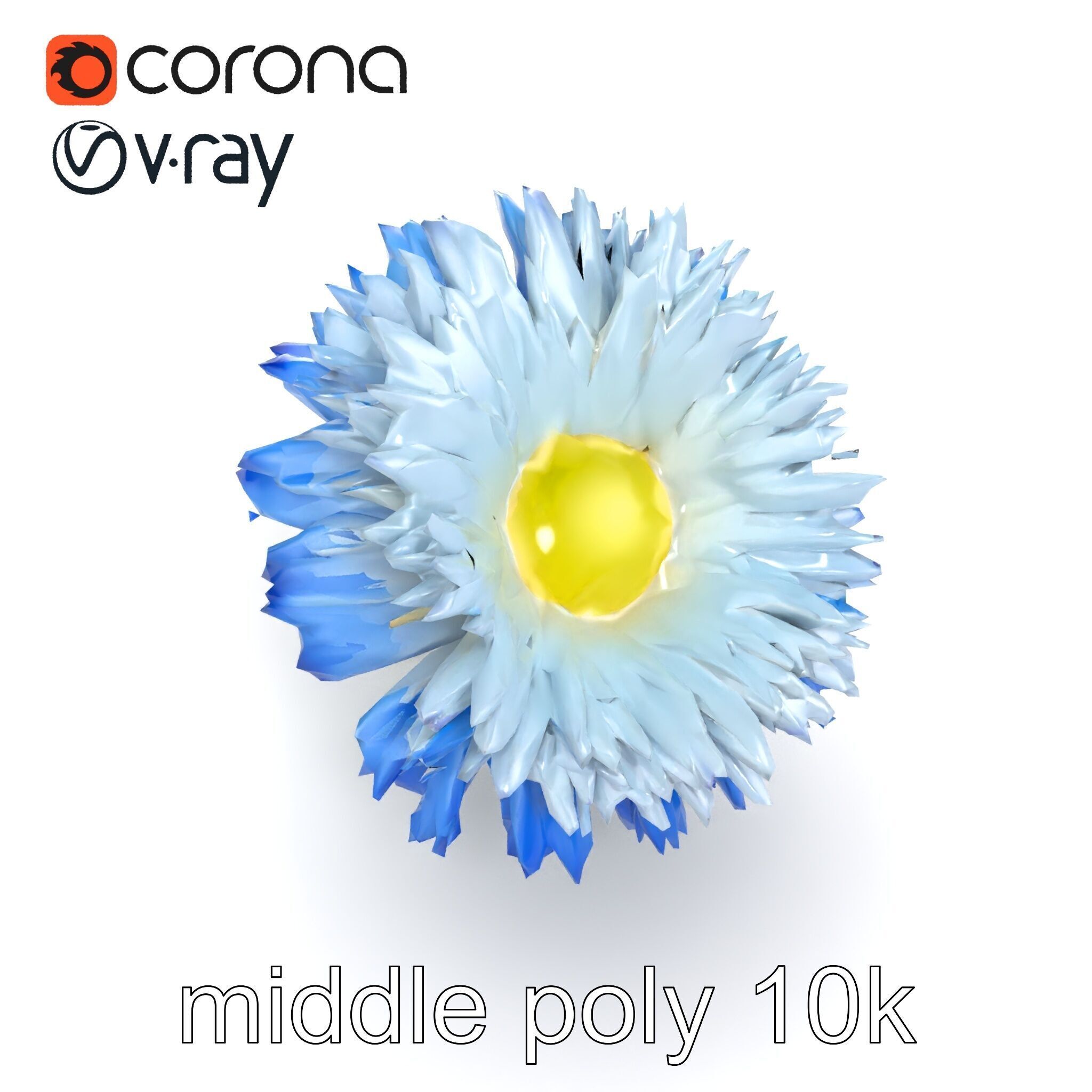 Bicolor Cornflower Realistic Flower model pack Low-poly 3D model_18