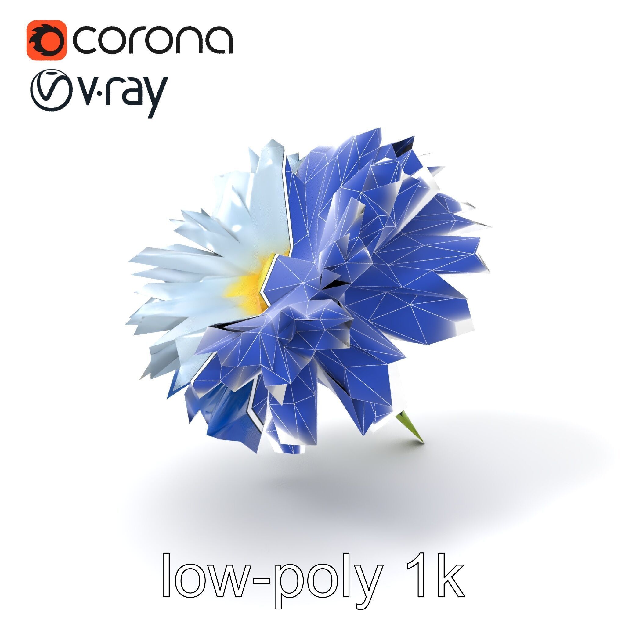 Bicolor Cornflower Realistic Flower model pack Low-poly 3D model_6