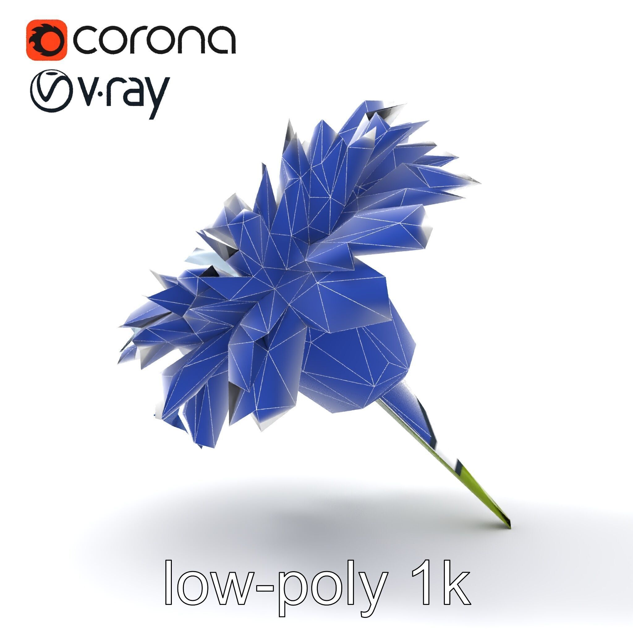 Bicolor Cornflower Realistic Flower model pack Low-poly 3D model_16