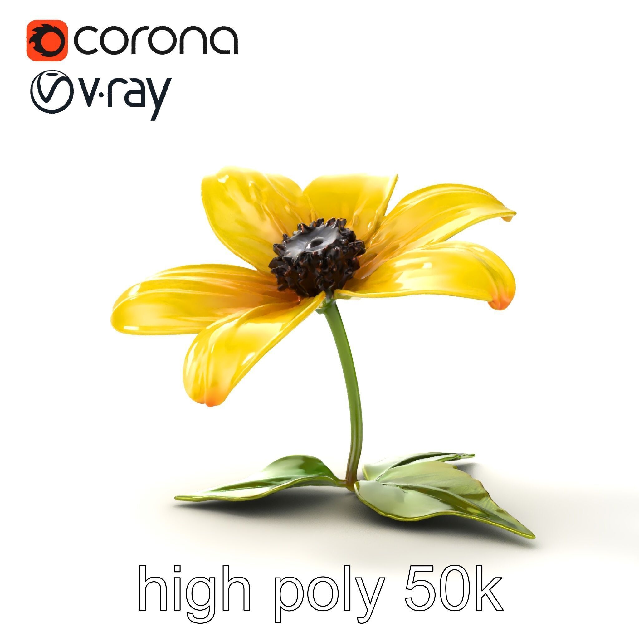 Bright Yellow Petal Flower Realistic model pack Low-poly 3D model_18
