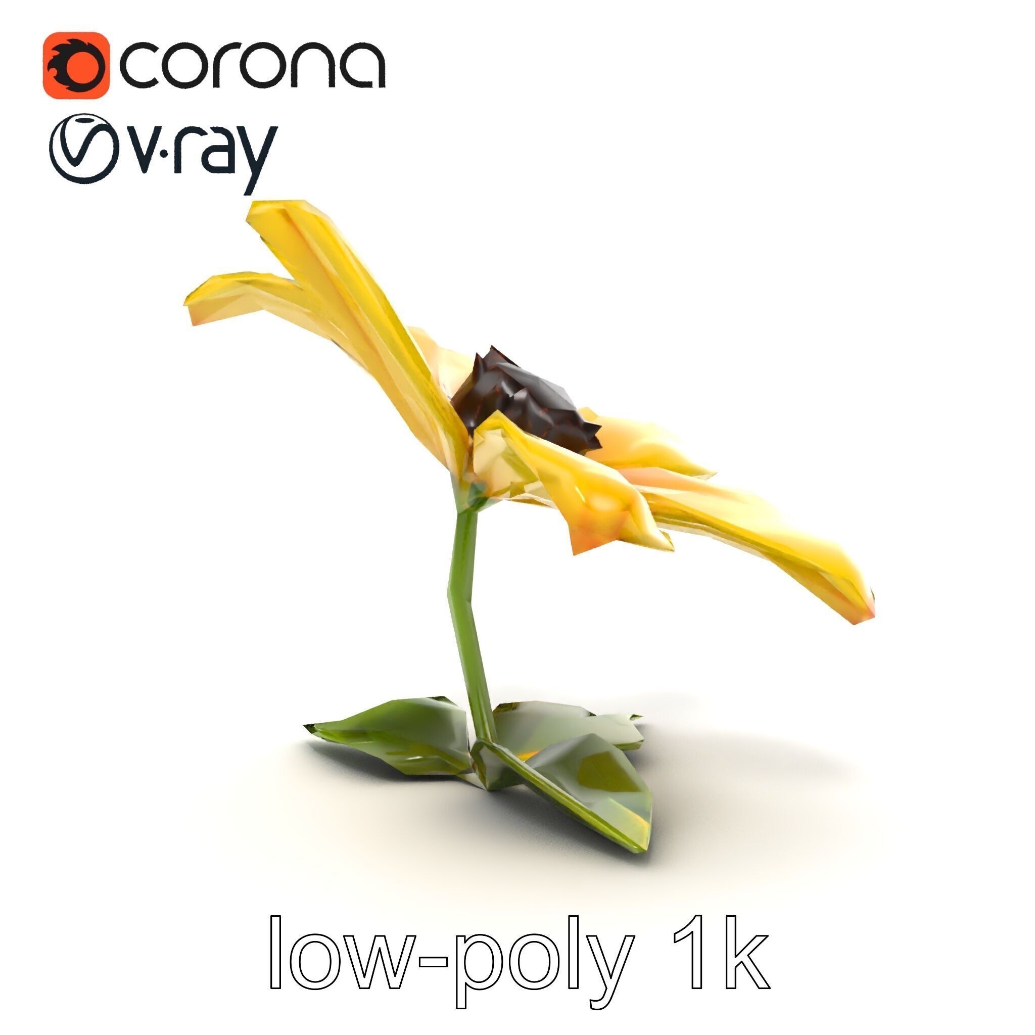 Bright Yellow Petal Flower Realistic model pack Low-poly 3D model_15