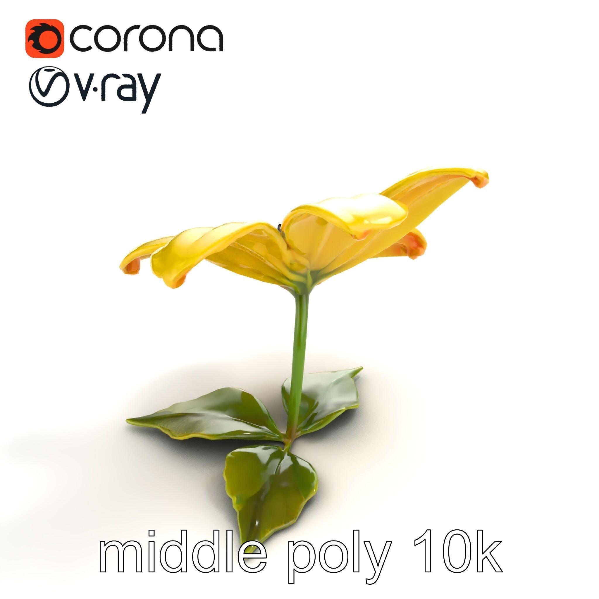 Bright Yellow Petal Flower Realistic model pack Low-poly 3D model_7
