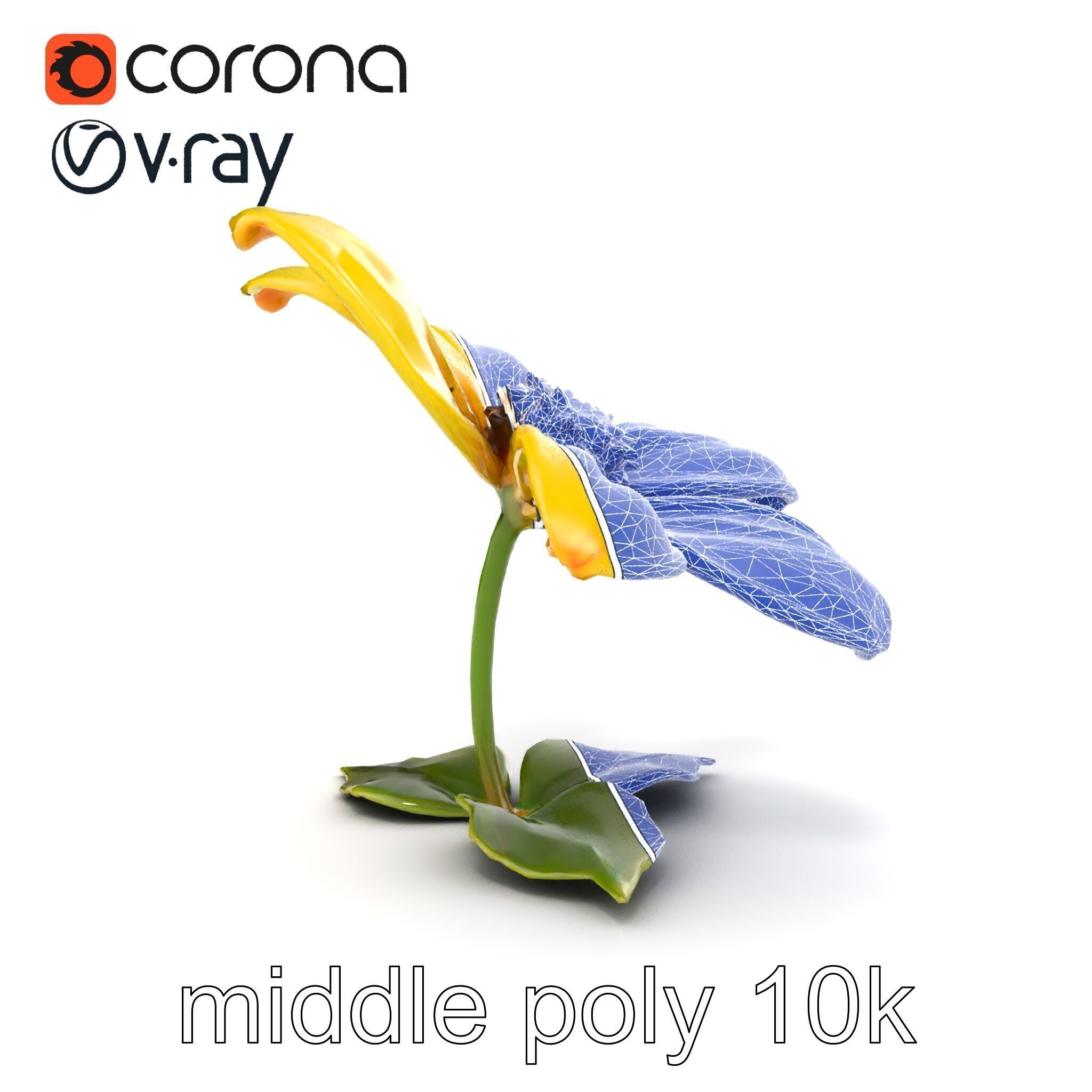 Bright Yellow Petal Flower Realistic model pack Low-poly 3D model_23