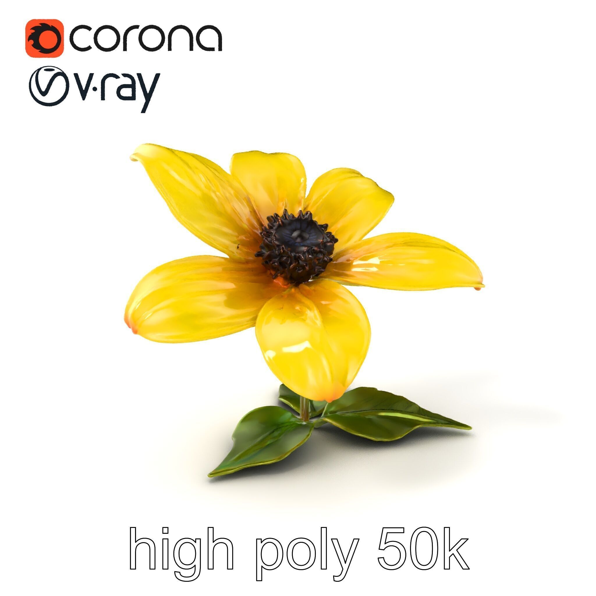 Bright Yellow Petal Flower Realistic model pack Low-poly 3D model_2