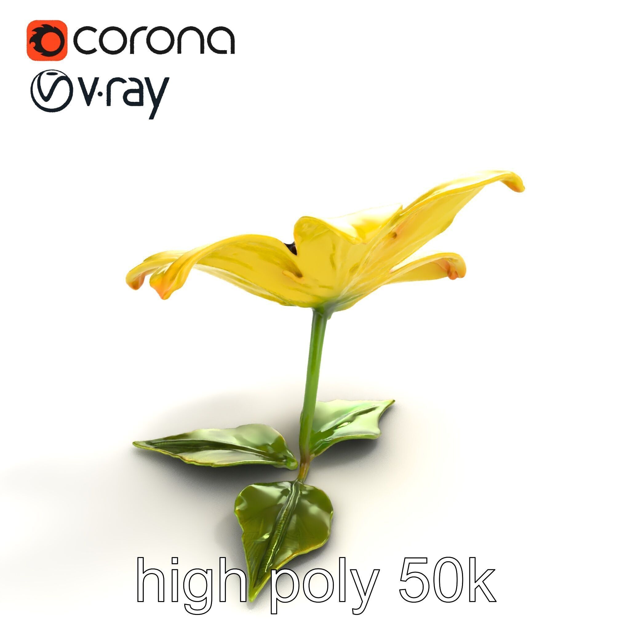 Bright Yellow Petal Flower Realistic model pack Low-poly 3D model_9