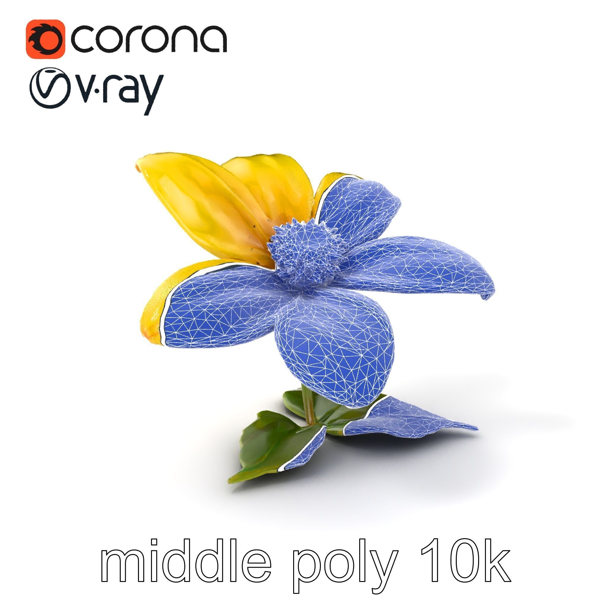 Bright Yellow Petal Flower Realistic model pack Low-poly 3D model_5