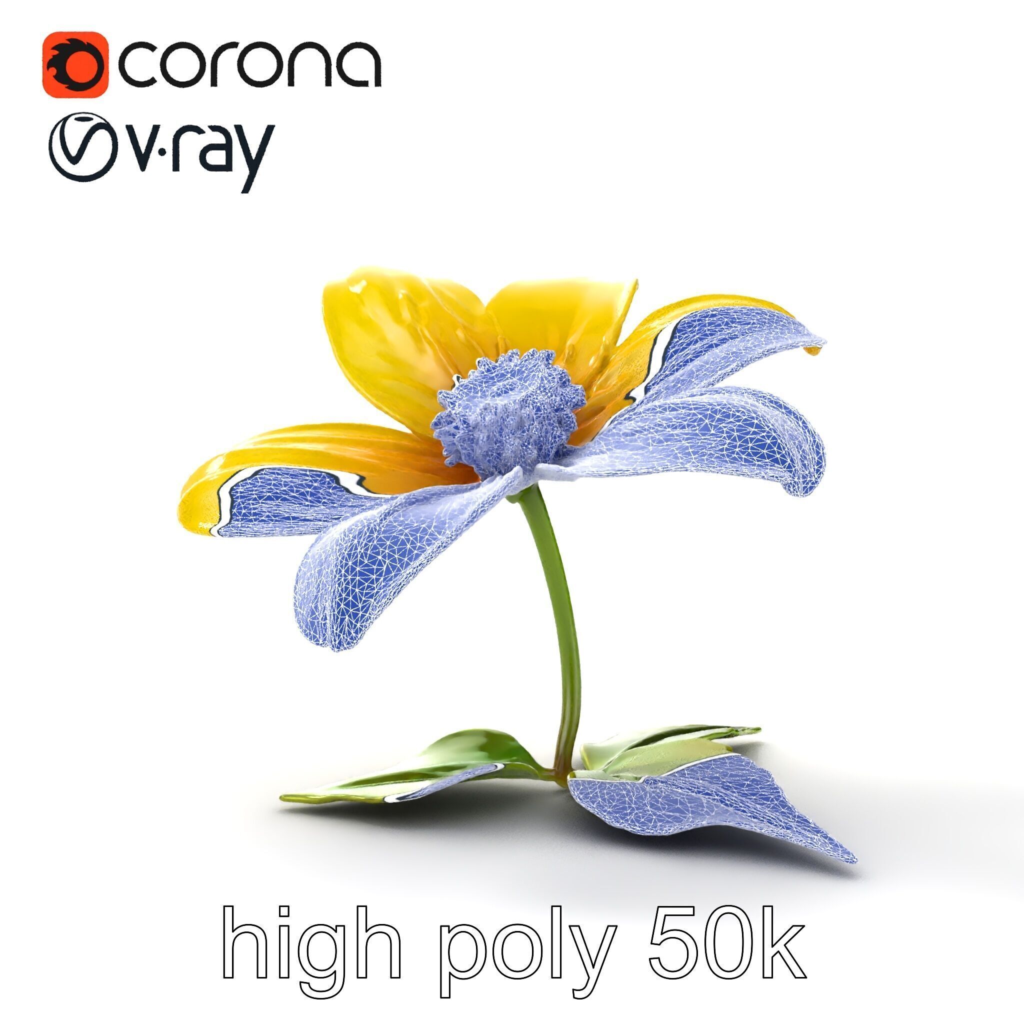 Bright Yellow Petal Flower Realistic model pack Low-poly 3D model_20