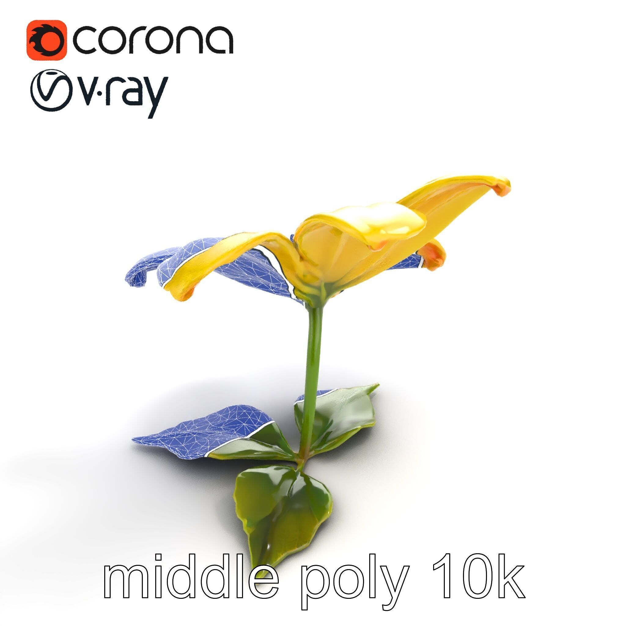 Bright Yellow Petal Flower Realistic model pack Low-poly 3D model_10