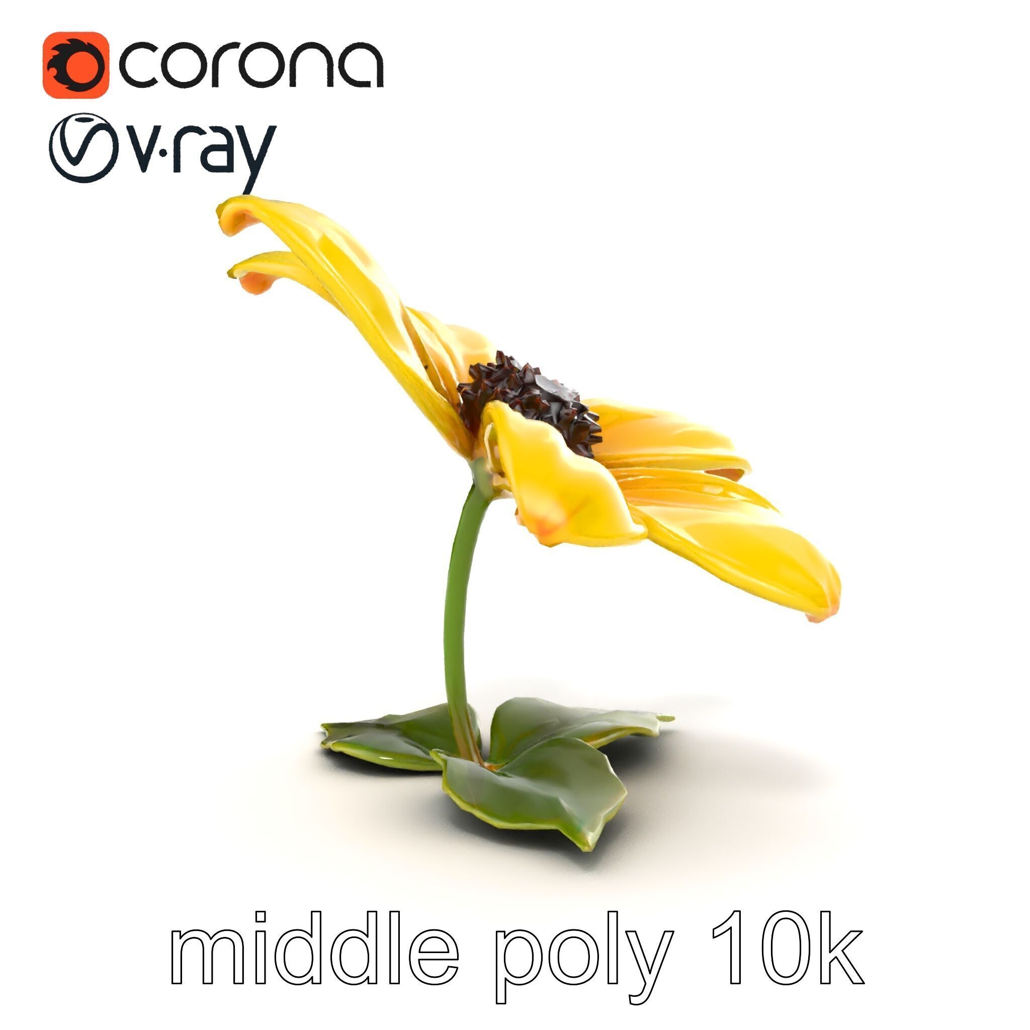 Bright Yellow Petal Flower Realistic model pack Low-poly 3D model_24