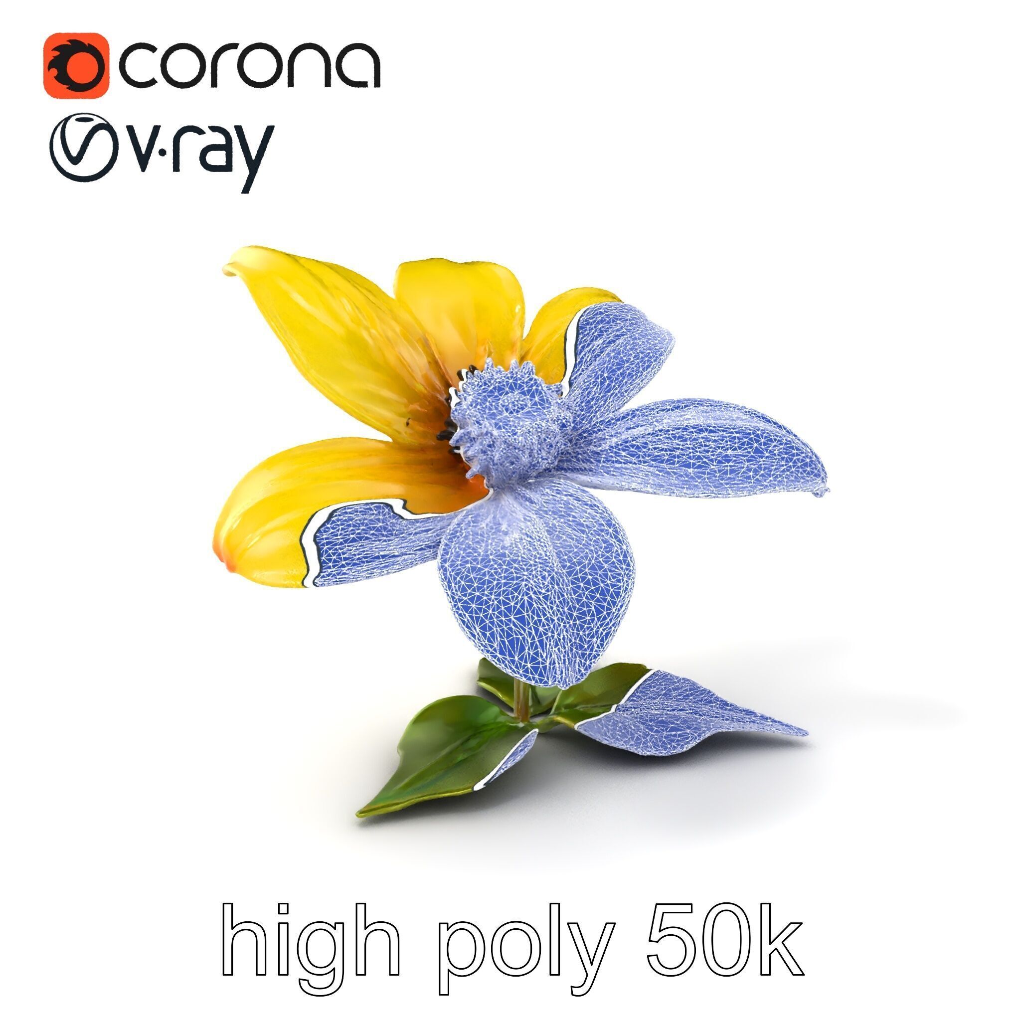 Bright Yellow Petal Flower Realistic model pack Low-poly 3D model_1