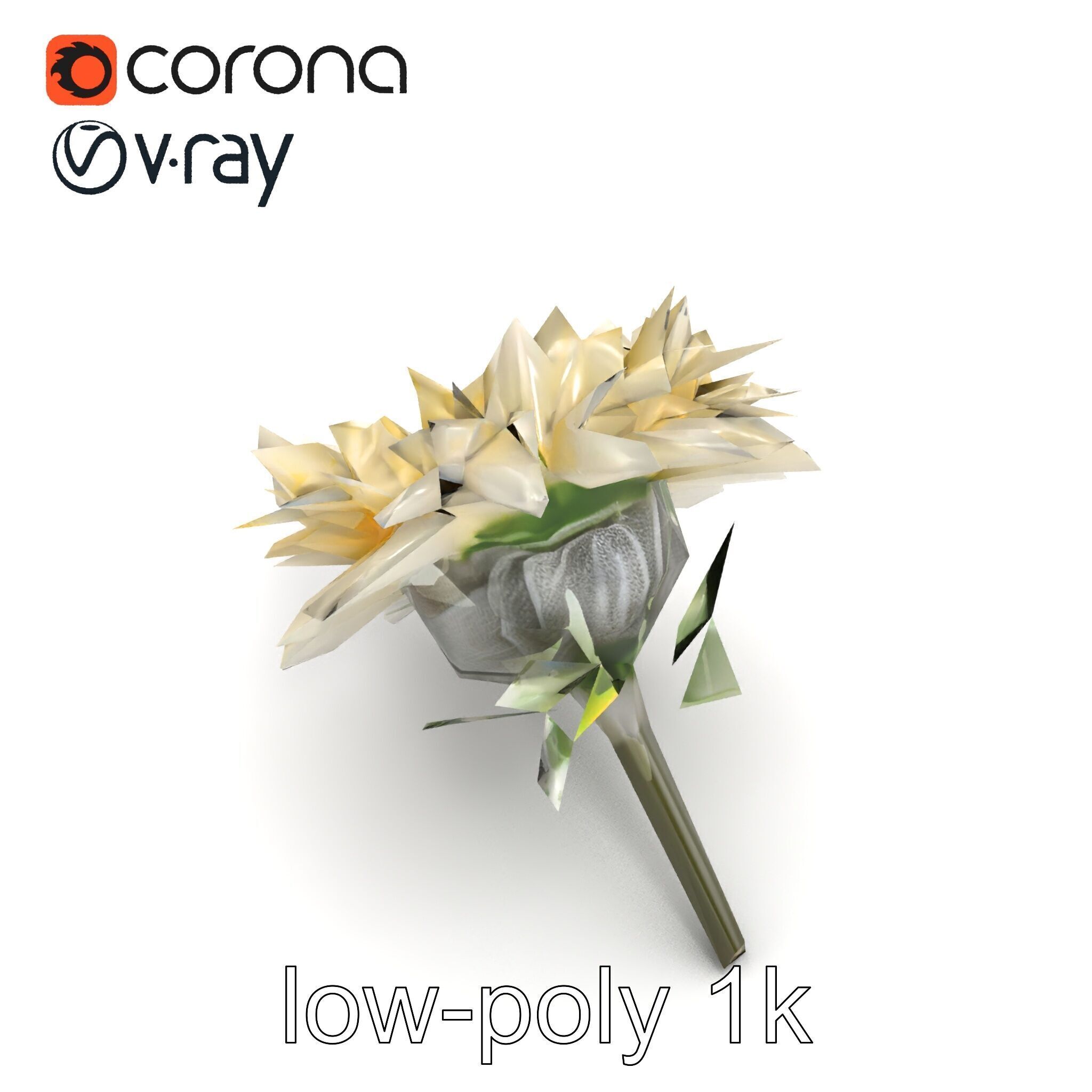 Leucanthemum Alpina Realistic Flower model pack Low-poly 3D model_12