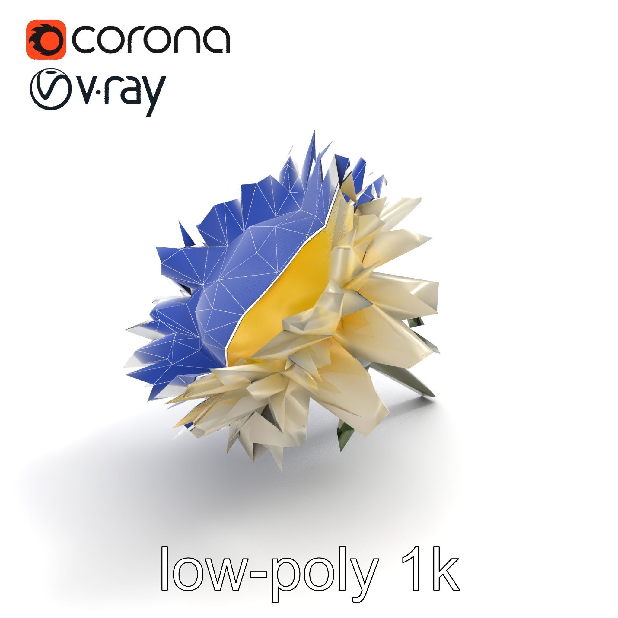 Leucanthemum Alpina Realistic Flower model pack Low-poly 3D model_14