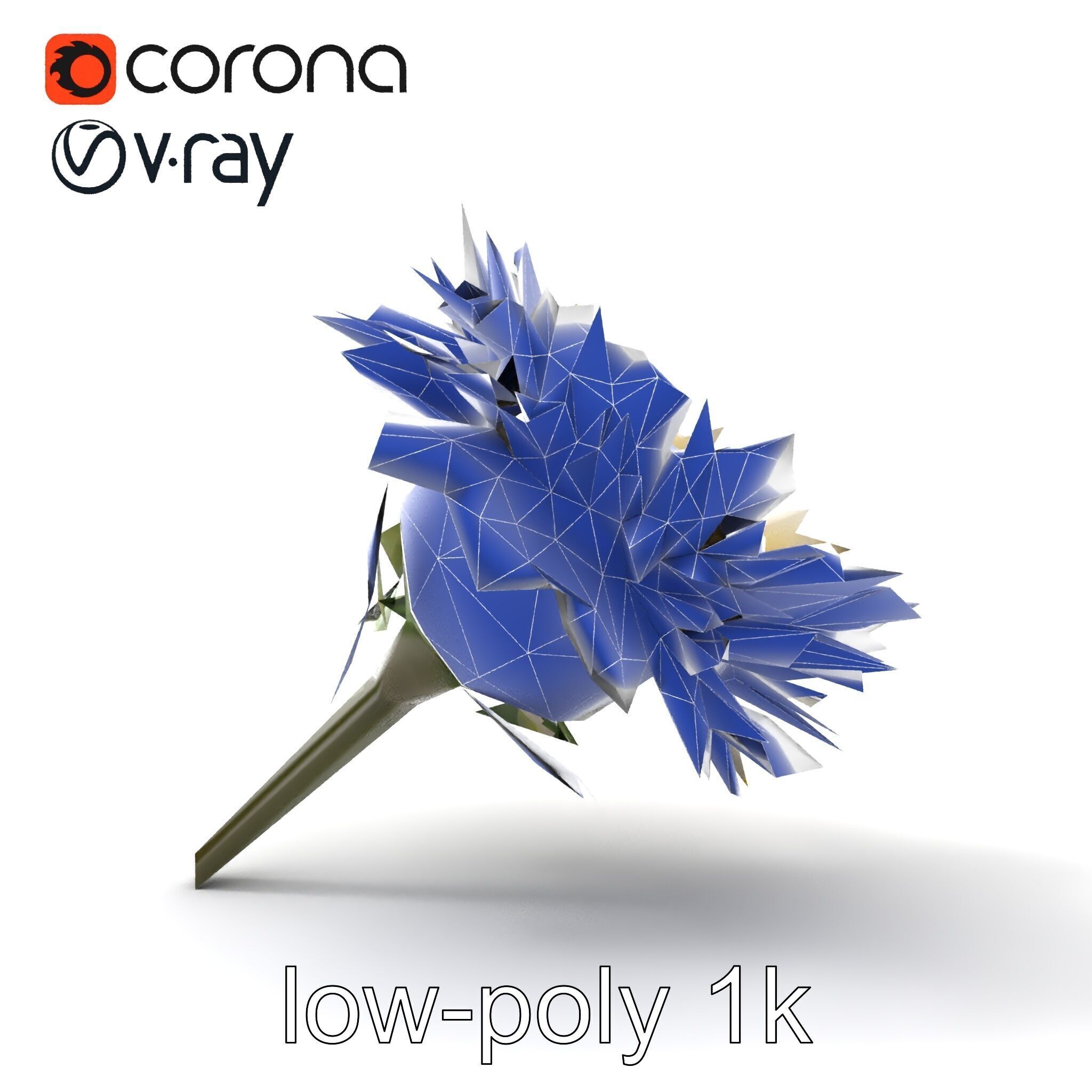 Leucanthemum Alpina Realistic Flower model pack Low-poly 3D model_16
