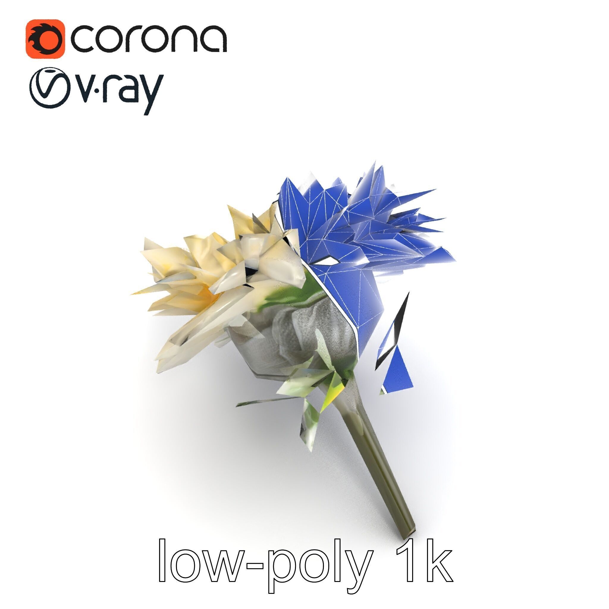 Leucanthemum Alpina Realistic Flower model pack Low-poly 3D model_28