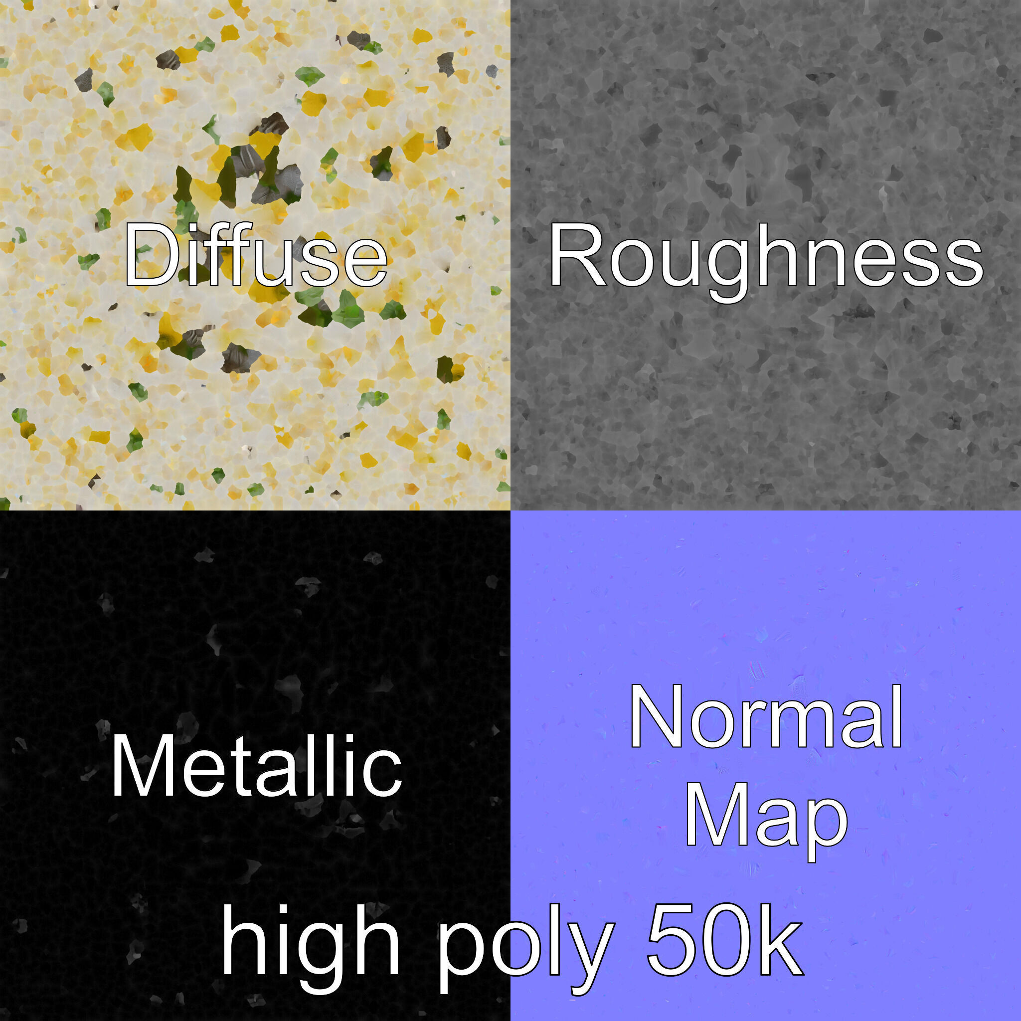 Leucanthemum Alpina Realistic Flower model pack Low-poly 3D model_3