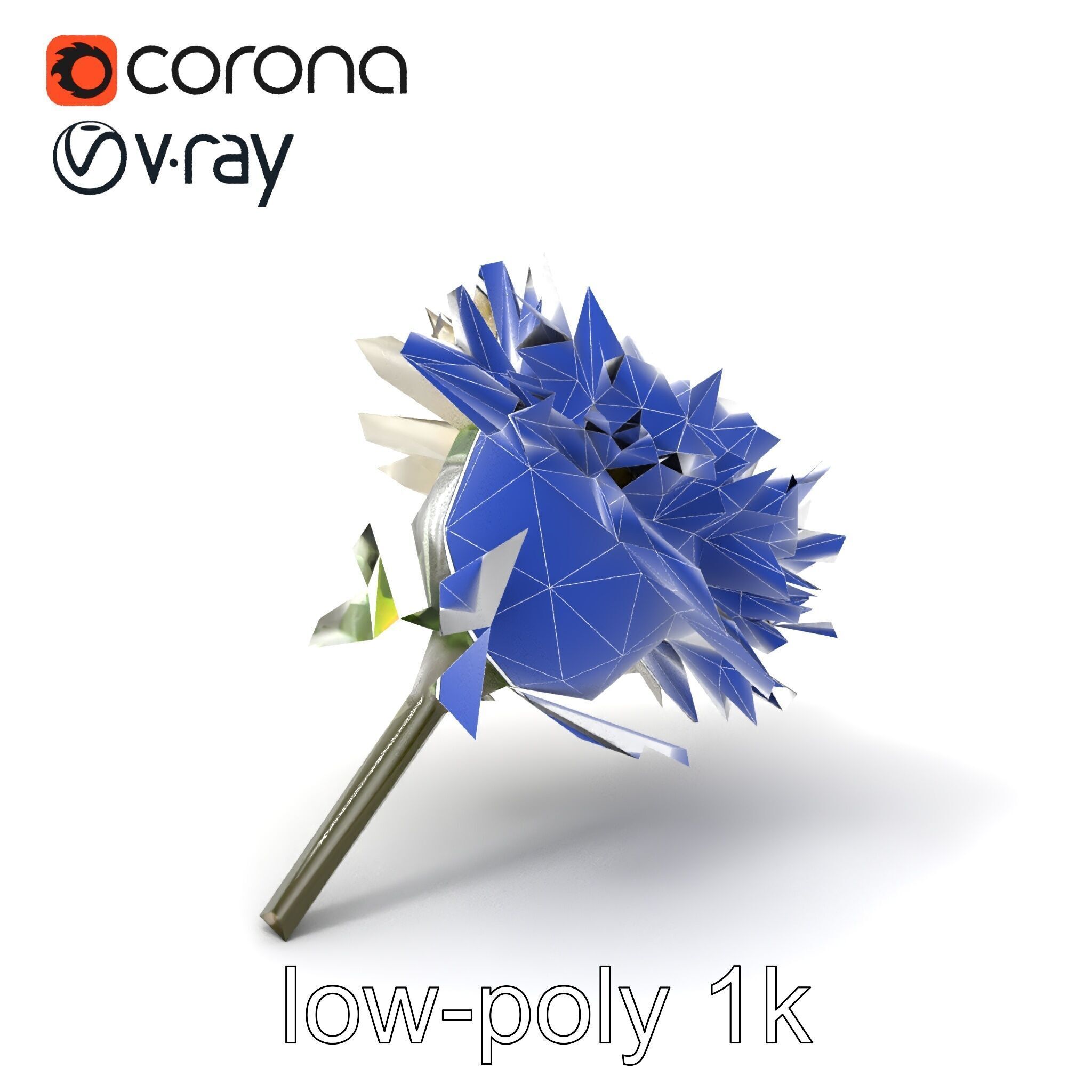 Leucanthemum Alpina Realistic Flower model pack Low-poly 3D model_7