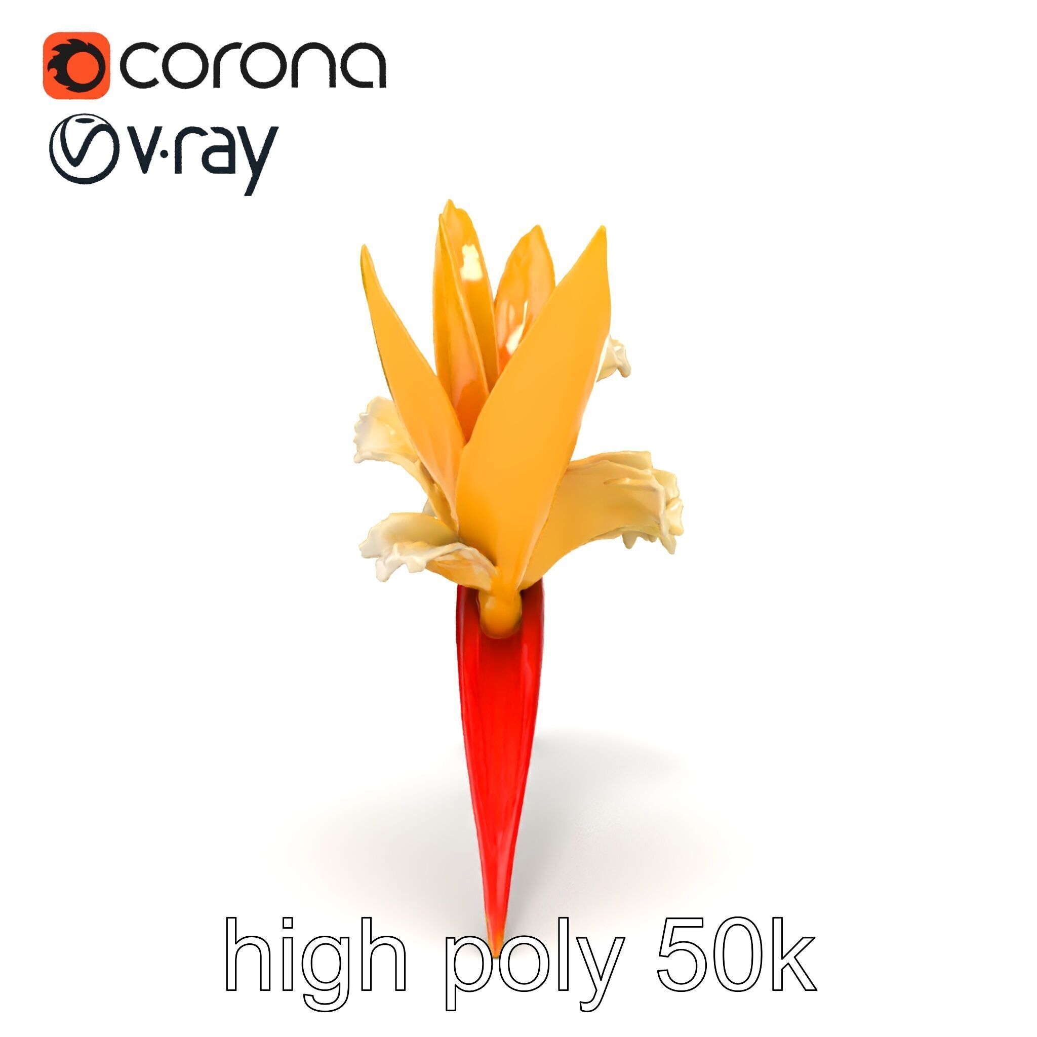 Double Strelitzia Flower Intricate Texture model pack Low-poly 3D model_23