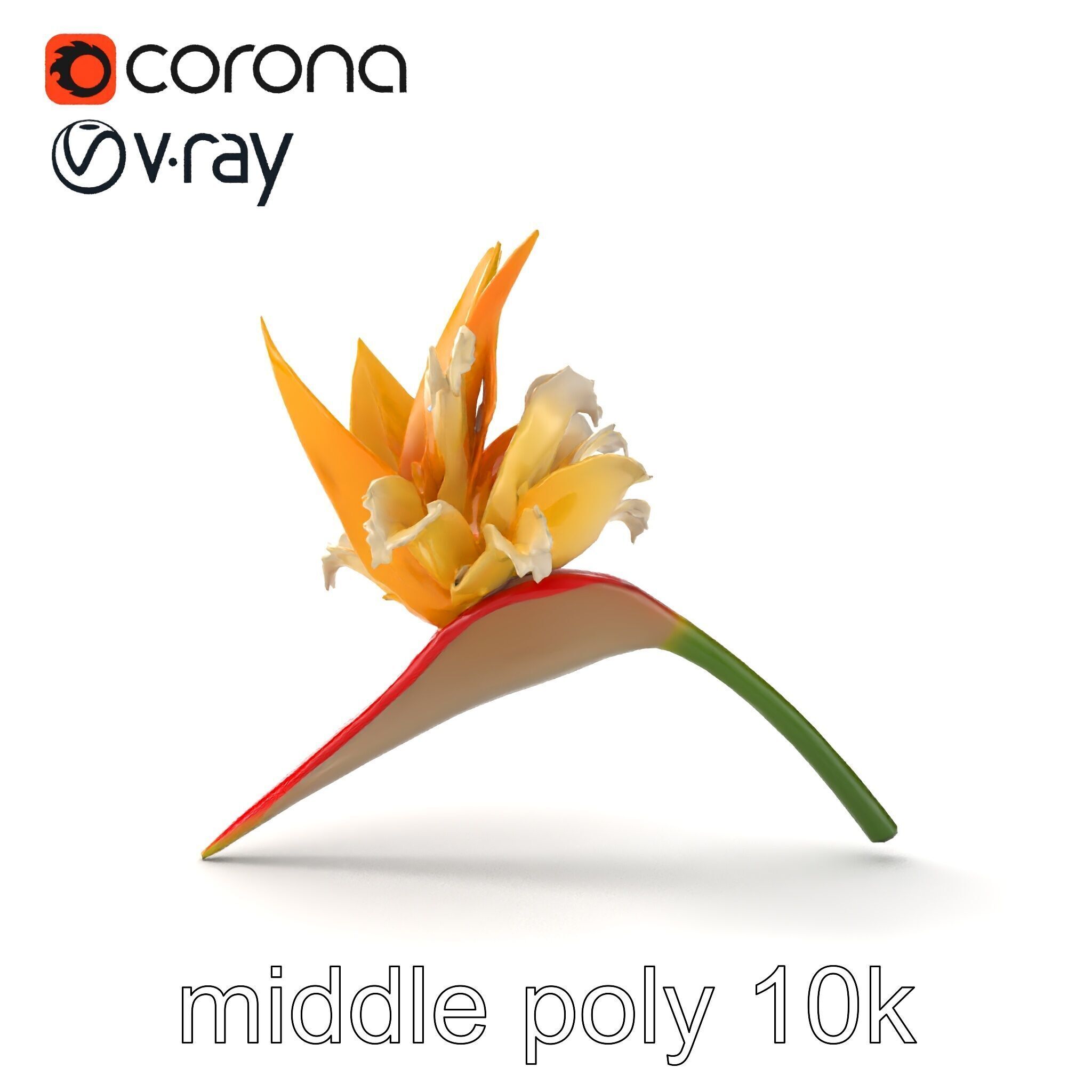 Double Strelitzia Flower Intricate Texture model pack Low-poly 3D model_29